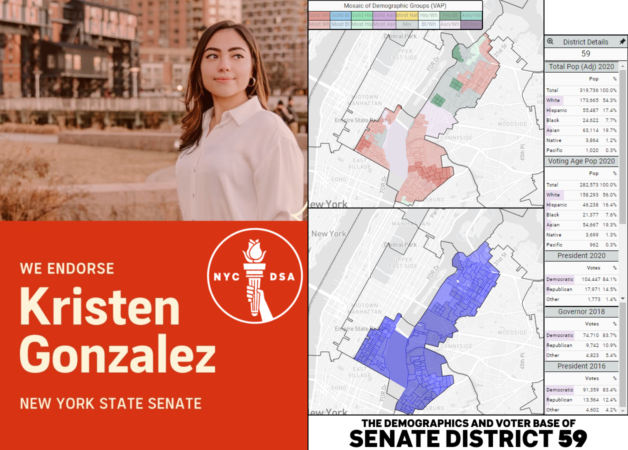 A collage of Kristen Gonzalez (she/her)'s endorsement poster by New York City DSA (left), and the demographics and voter base of Senate District 59 (right).