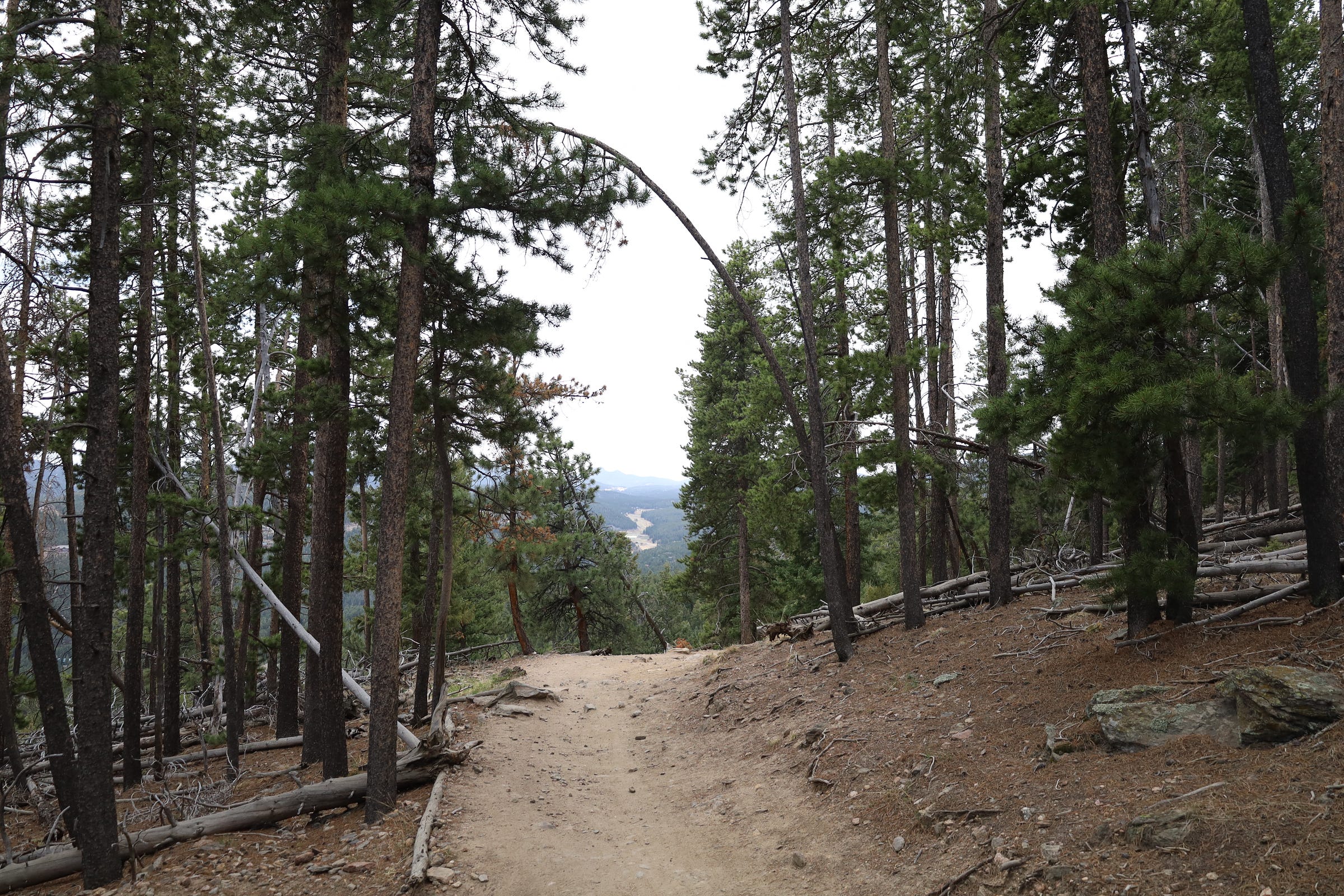 the trail almost perfectly lines up with a winding road down a distant valley