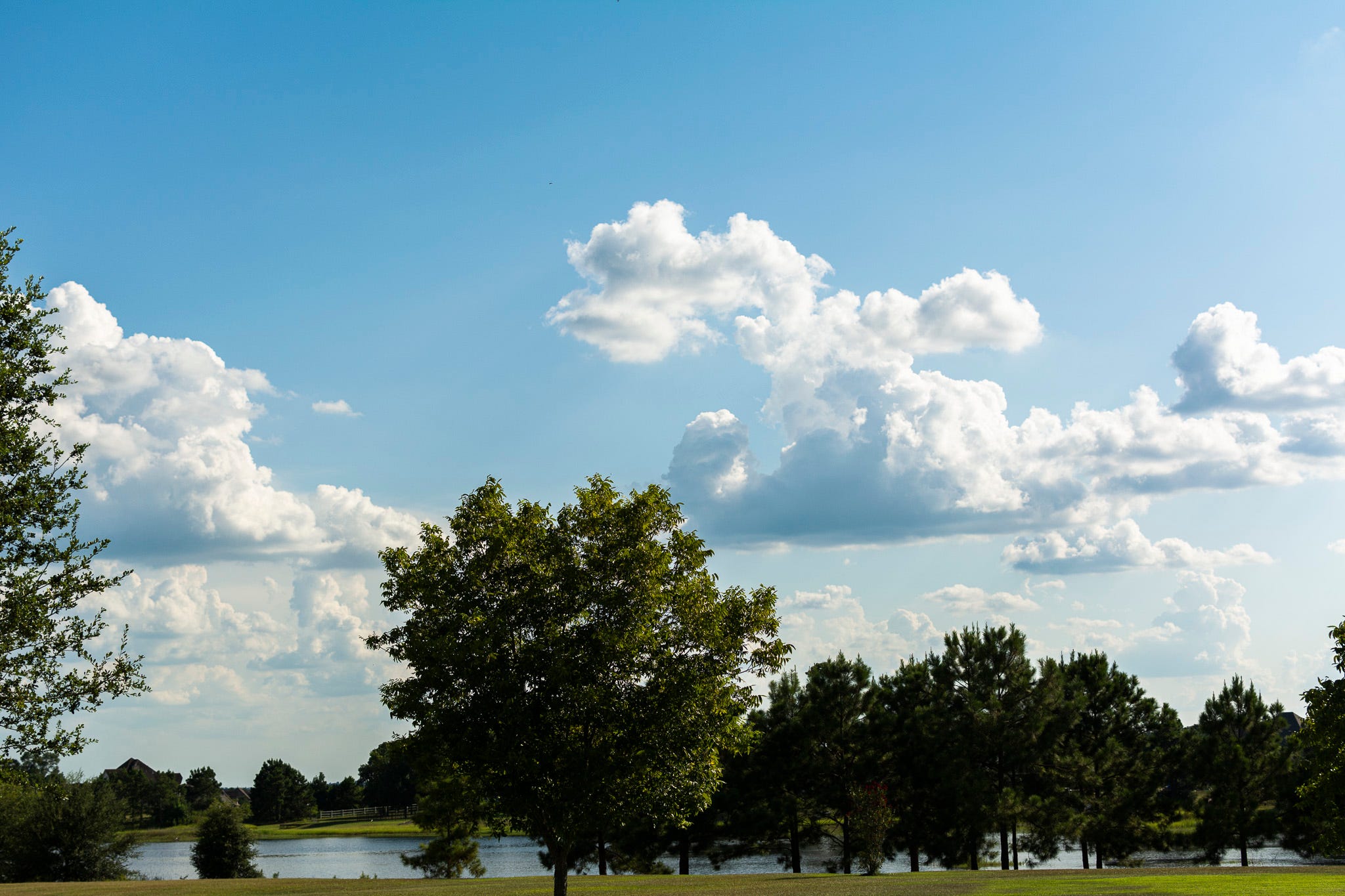 Blue skies, white clouds, a lake showing through the trees at the bottom of the image