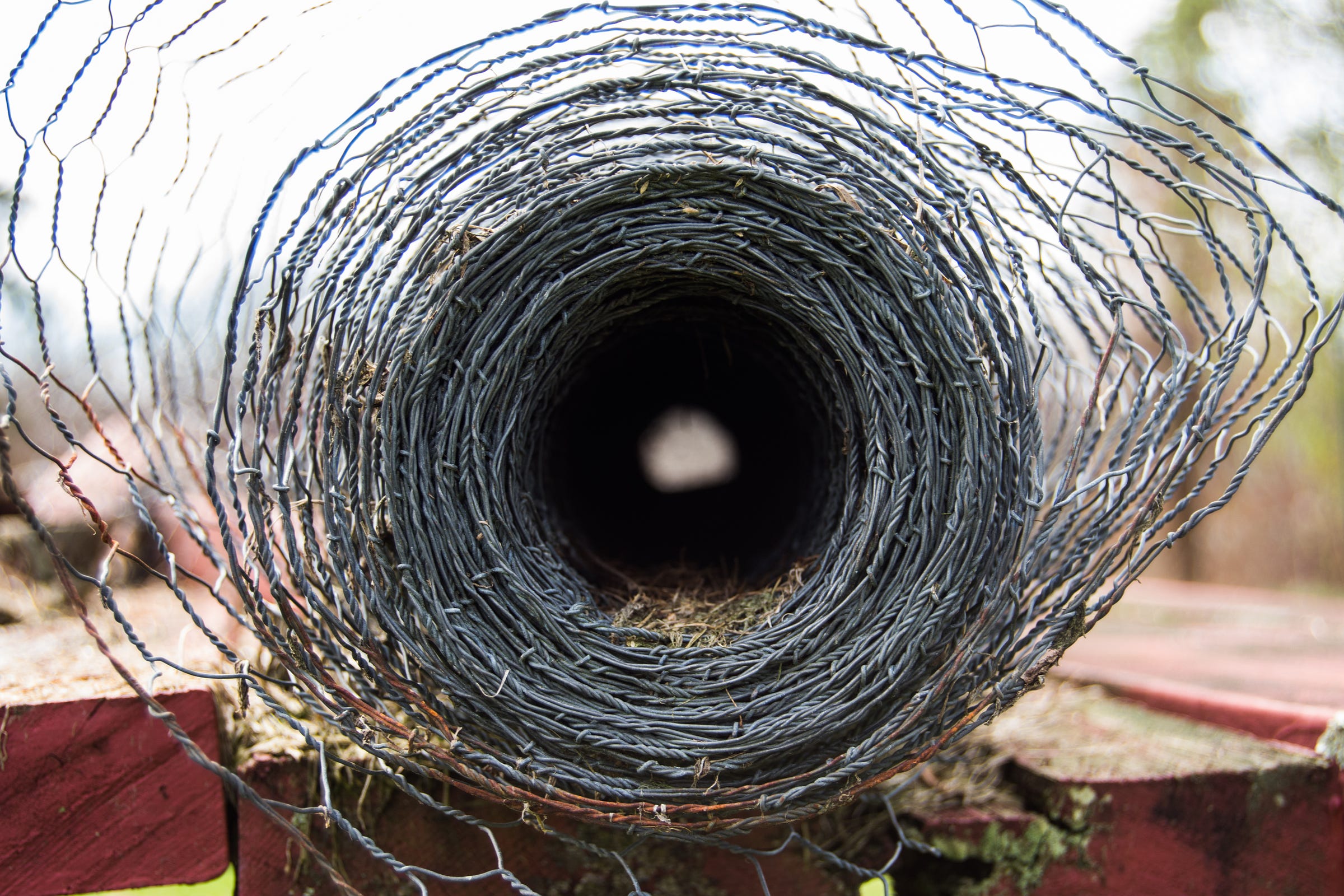 A bail of chicken wire unspooling on a fence