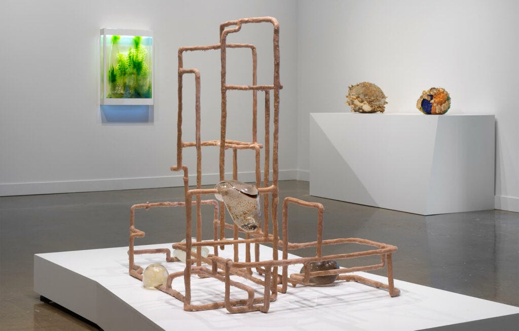 Installation view of sculptures in an art gallery. On a pedestal in the foreground is a pinkish gridded structure on which four "melting" forms, seemingly made of glass, are resting. In the background is a sculpture on the wall that looks like a terrarium and two spherical sculptures on a pedestal that look to be made of organic materials. Installation view of sculptures in an art gallery. On a pedestal in the foreground is a pinkish gridded structure on which four "melting" forms, seemingly made of glass, are resting. In the background is a sculpture on the wall that looks like a terrarium and two spherical sculptures on a pedestal that look to be made of organic materials.
