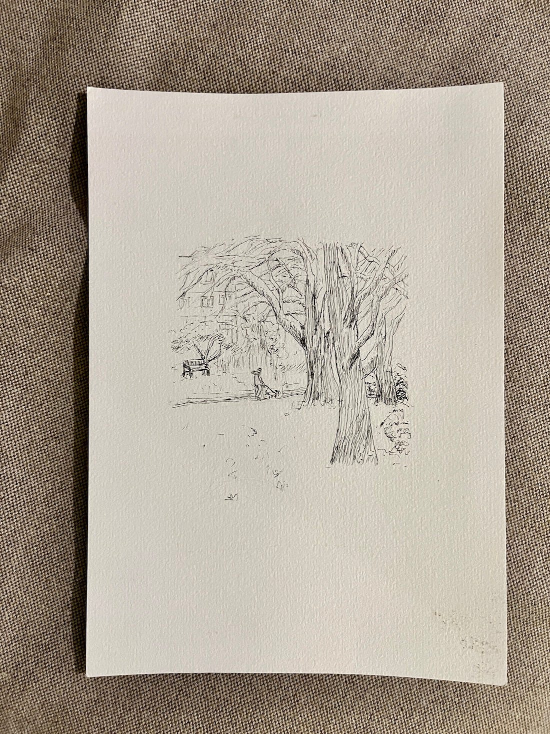 Image: Flat lay shot of a line drawing of a snowy, wintry scene at a park in London. The trees are seen in the middle ground and foreground, with their branches covered in snow. In the background, a man wearing a winter jacket is walking his dog.