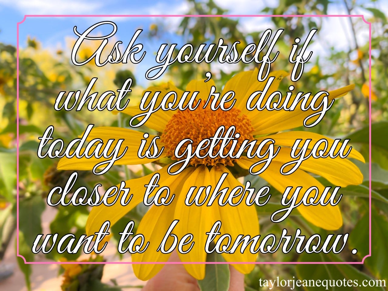 taylor jeane quotes, taylor jeane, taylor wilson, inspirational quotes, motivational quotes, quote of the day, motivational daily quotes, question quotes, goal quotes, success quotes, progress quotes, growth quotes, thought provoking quotes, today quotes, tomorrow quotes, ask yourself if what you're doing today is getting you closer to where you want to be tomorrow quote, sunflower