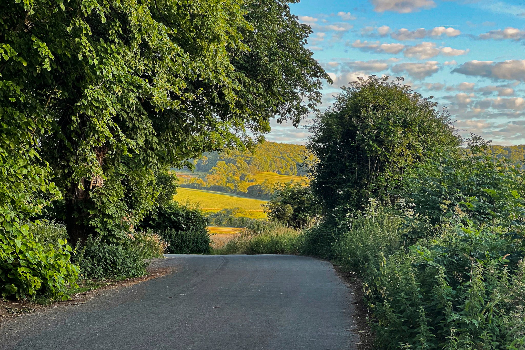 a road with trees flanking both sides, blue sky, white clouds with touches of grey, and in the distance rolling hills brightened by the setting sun