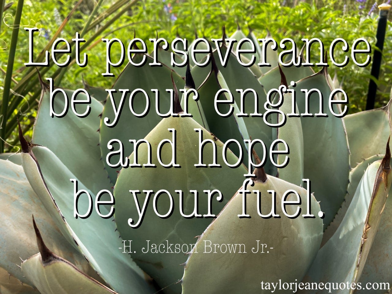 taylor jeane quotes, taylor jeane, taylor wilson, inspirational quotes, motivational quotes, positive quotes, life quotes, perseverance quotes, hope quotes, car quotes, engine quotes, fuel quotes, purpose quotes, goal quotes, mindset quotes, friday quotes, h jackson brown jr, h jackson brown jr quotes, arizona, aloe