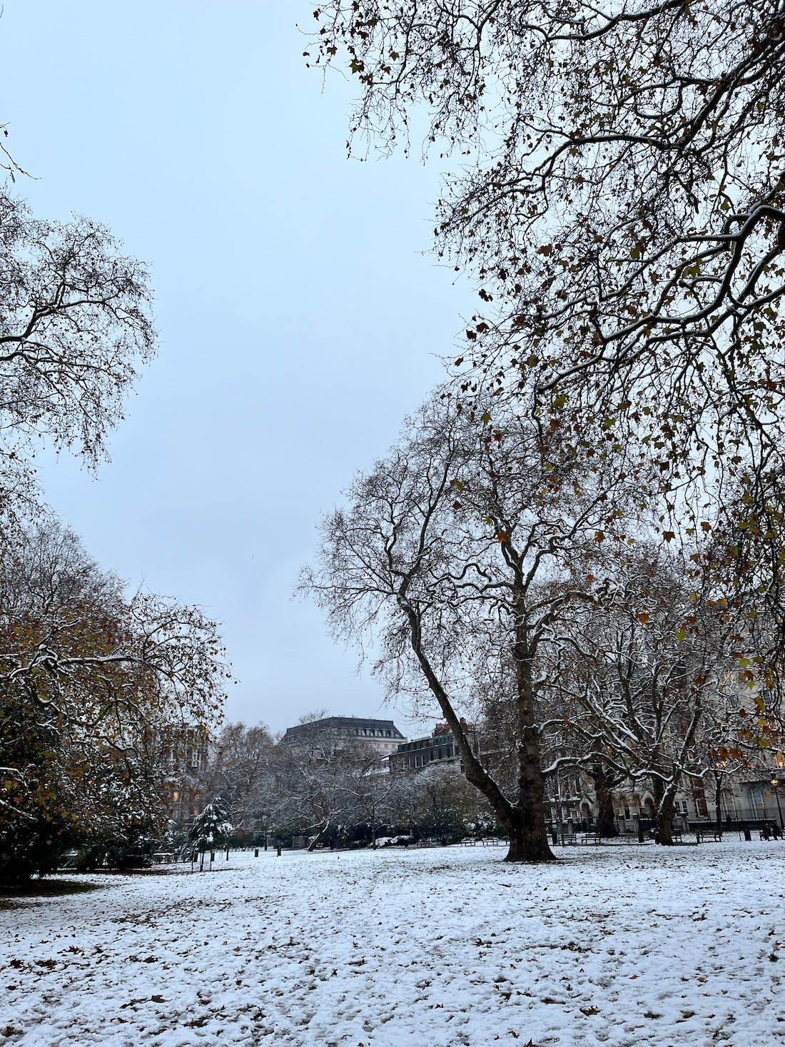 image: photo of snowy, wintry park in london