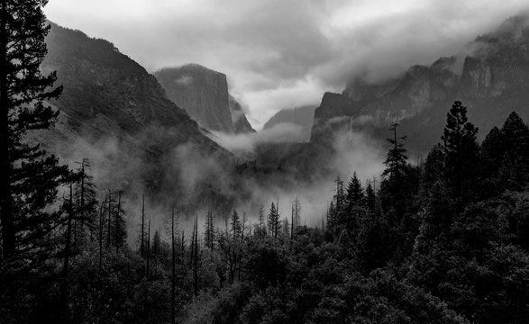 Black And White Forest And Mountains Images – Browse 70,179 Stock Photos,  Vectors, and Video | Adobe Stock
