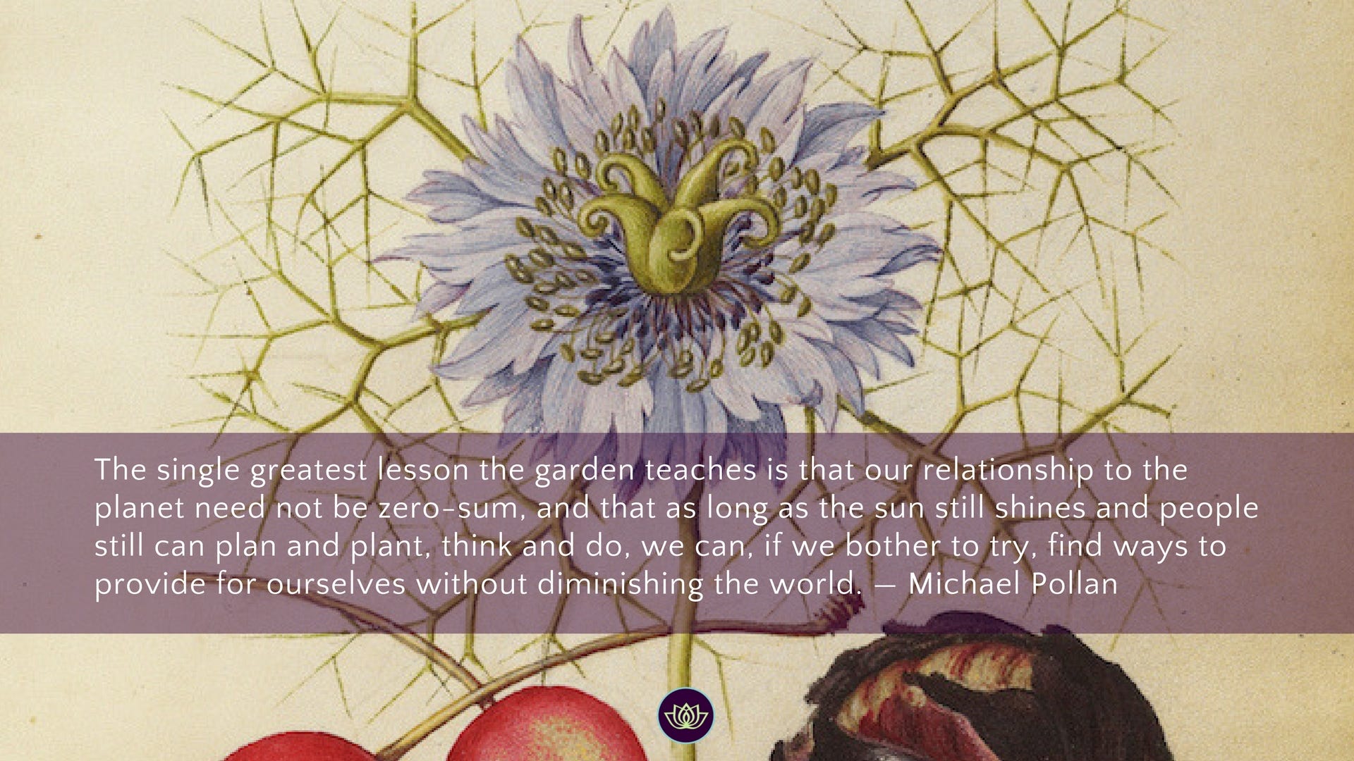Balcony Gardening Benefits Quote Michael Pollan