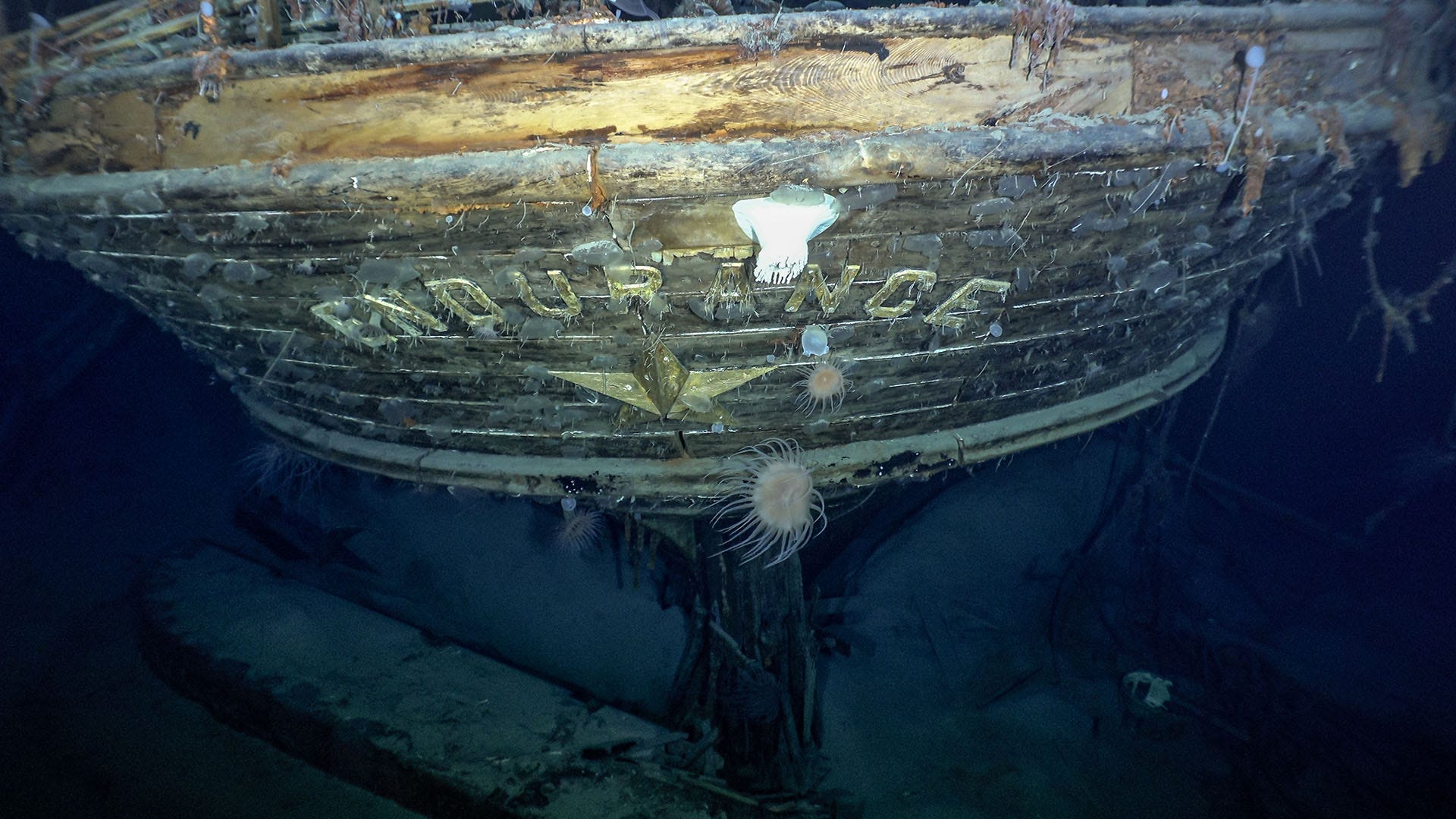 Picture of the stern of the Endurance, festooned with sea life but incredibly well-preserved. Picture of the stern of the Endurance, festooned with sea life but incredibly well-preserved.