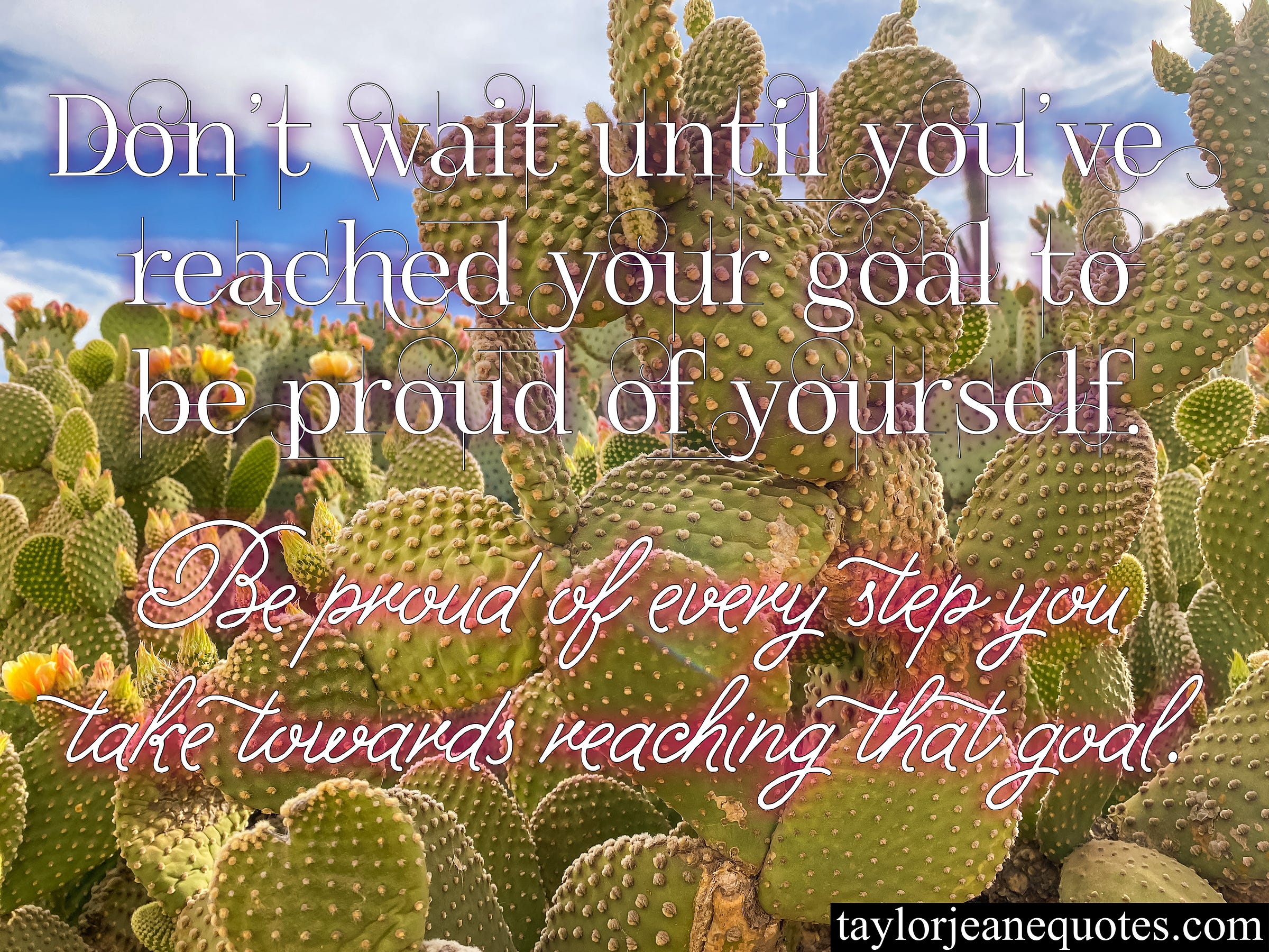 taylor jeane quotes, taylor jeane, taylor wilson, inspirational quotes, motivational quotes, self love quotes, be proud of yourself quotes, goal quotes, progress quotes, cactus, phoenix botanical gardens, accomplishment quotes, don't be hard on yourself quotes