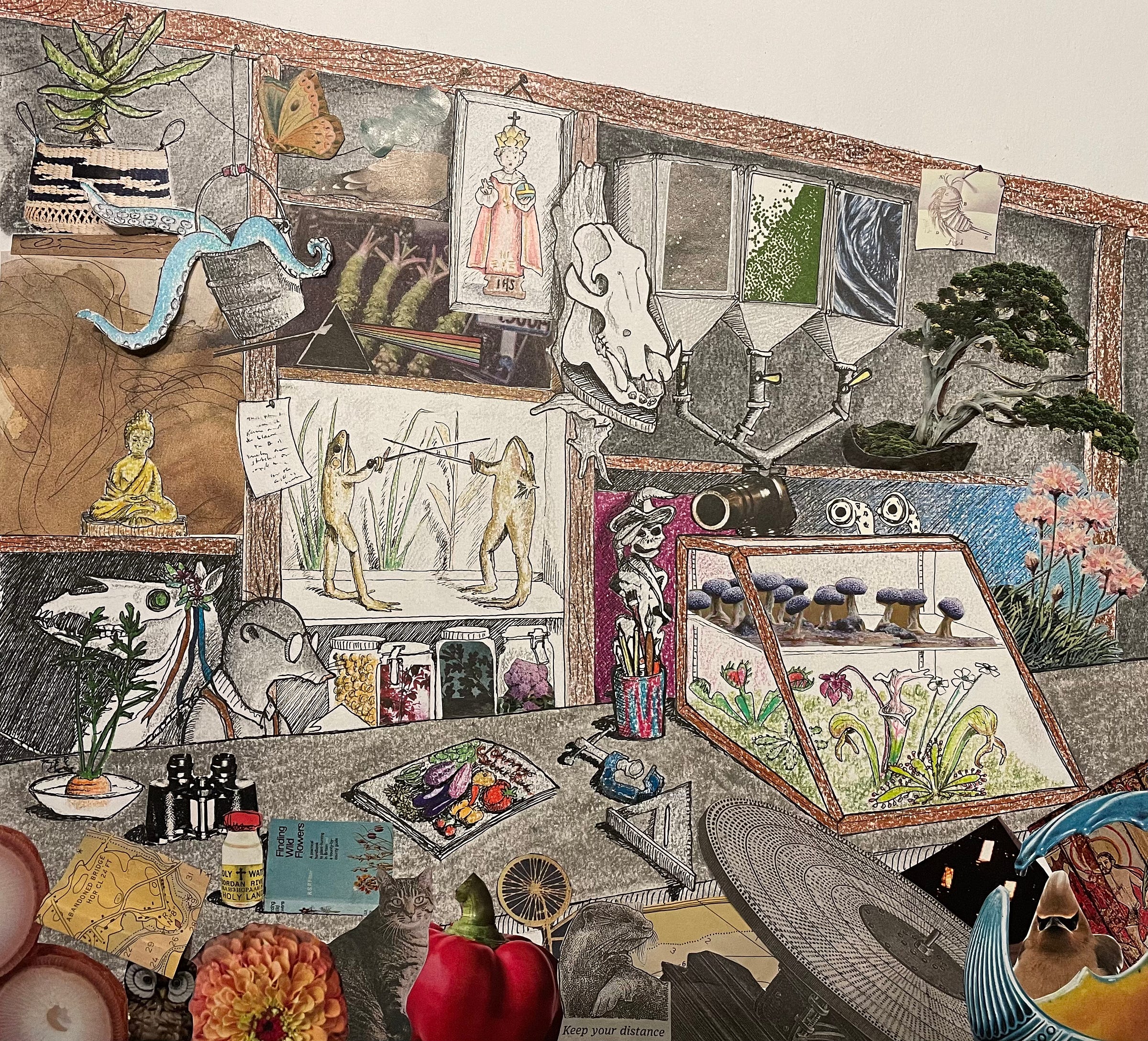 mixed media drawing/collage of the proprietor's shop; skulls, plants, paintings, a pair of dueling taxidermied frogs, etc.