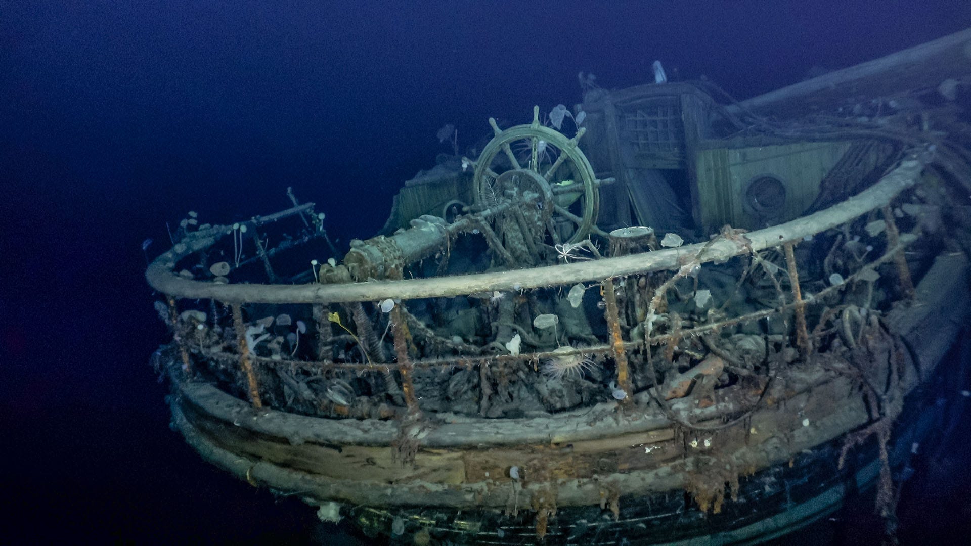 Picture of the Endurance cockpit and wheel looking ready to set sail again. Picture of the Endurance cockpit and wheel looking ready to set sail again.
