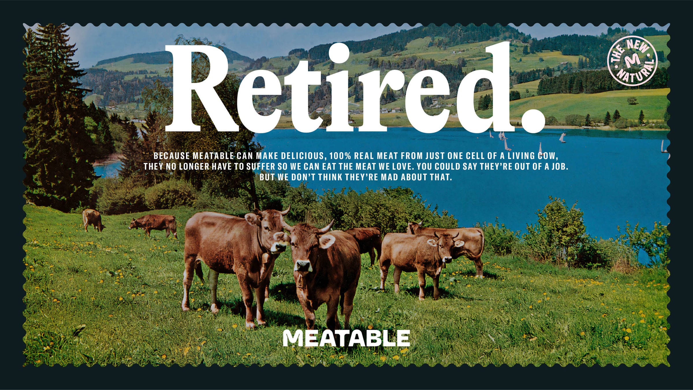 Image of cows on a grassy hill in front of a lake. Above them is the word "Retired."