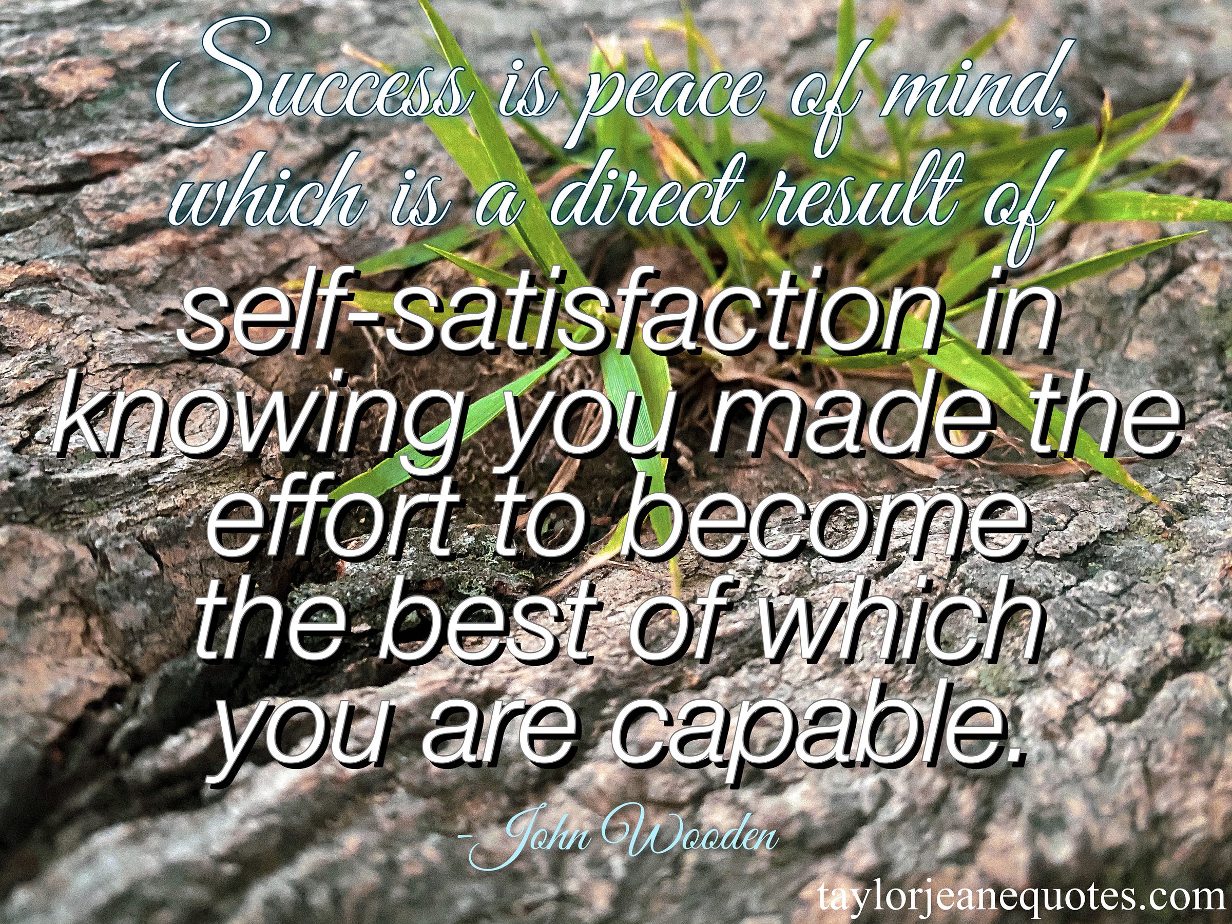 taylor jeane quotes, taylor jeane, taylor wilson, free motivational quote of the day, inspirational daily quotes, john wooden, john wooden quotes, success quotes, motivational quotes, definition of success, what is success, how to succeed, how to succeed in life, effort quotes, satisfaction quotes, goal quotes, goal setting quotes, peace of mind quotes, life quotes, do your best quotes, never give up quotes, new years resolution quotes, new years quotes