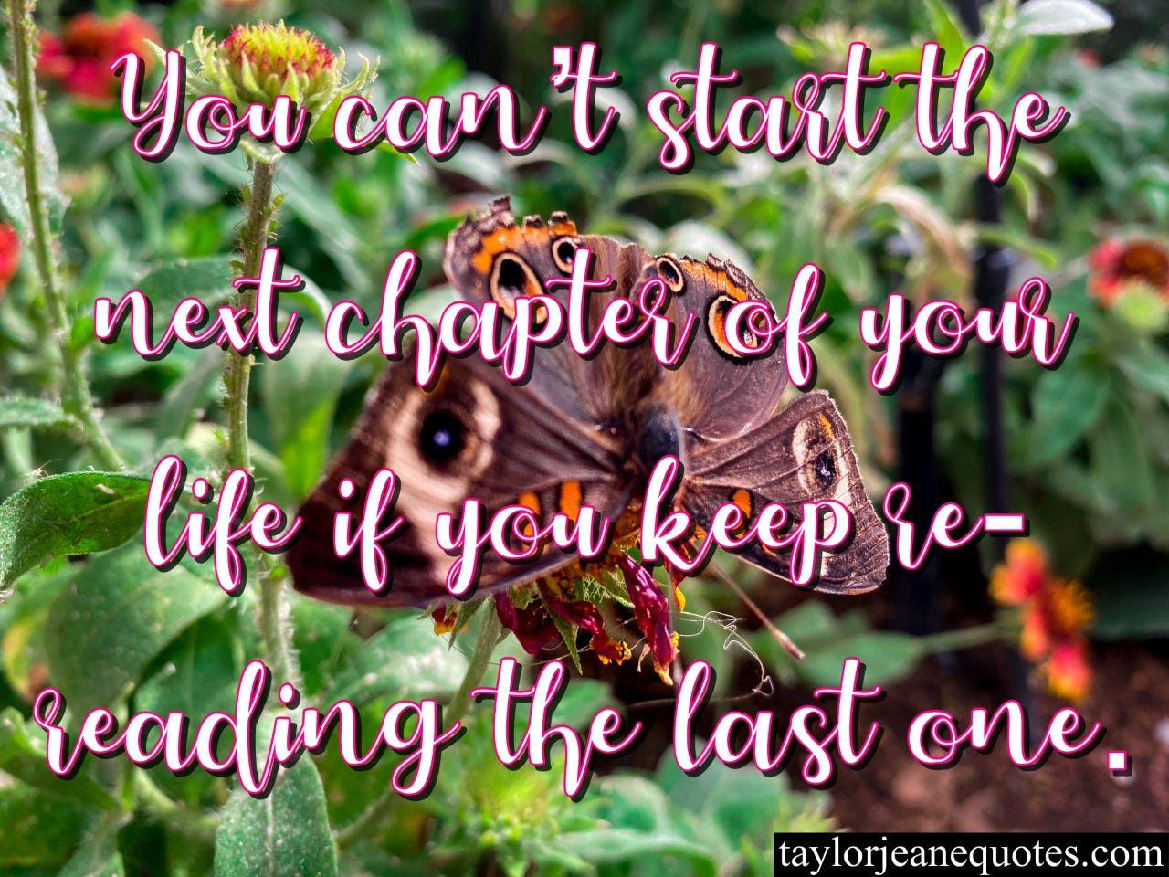 taylor jeane quotes, taylor jeane, taylor wilson, inspiring quotes, quotes for motivation, reading quotes, chapter quotes, chapters of life quotes, let go quotes, move on quotes, life quotes, growth quotes, change quotes, beginning quotes, ending quotes, butterfly, phoenix botanical gardens