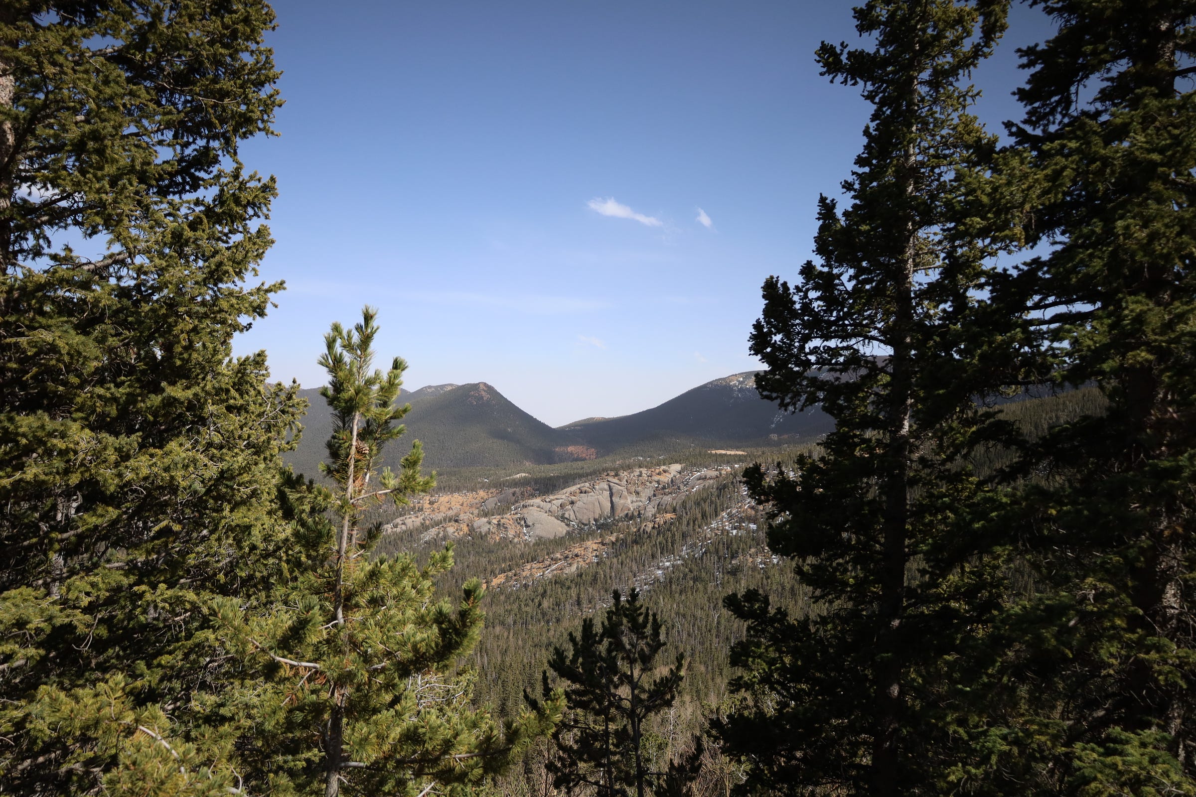 Pine trees frame a wide open mountain view, with a boulder field in the distance