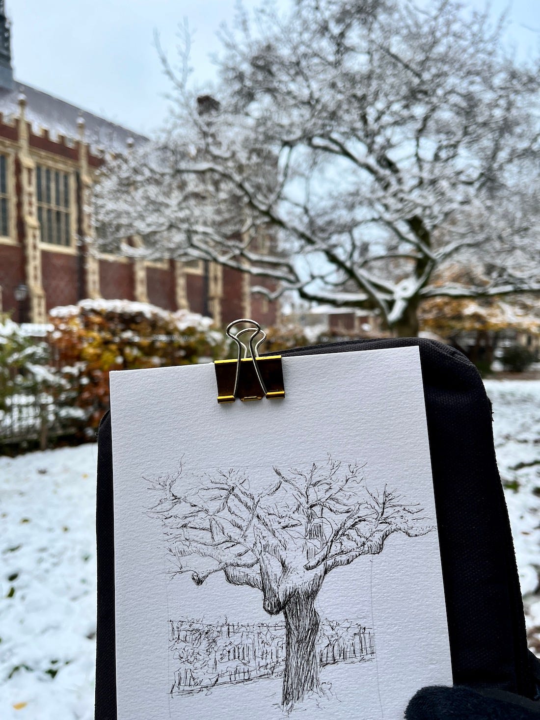 Image: Line drawing of a snowy, wintry scene at a park in London. The focus is on a tree with sprawling branches, covered in snow. Vintage-looking iron fences framed the background. 