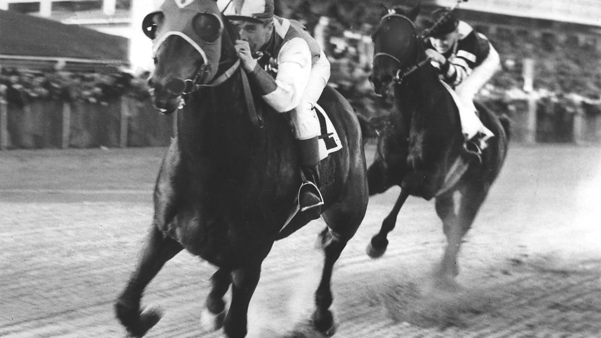 Can Seabiscuit's DNA explain his elite racing ability?