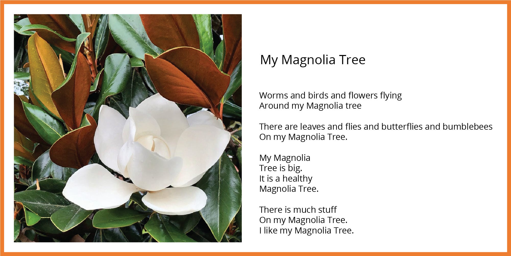 Poem accompanied by photo of blooming Magnolia tree.