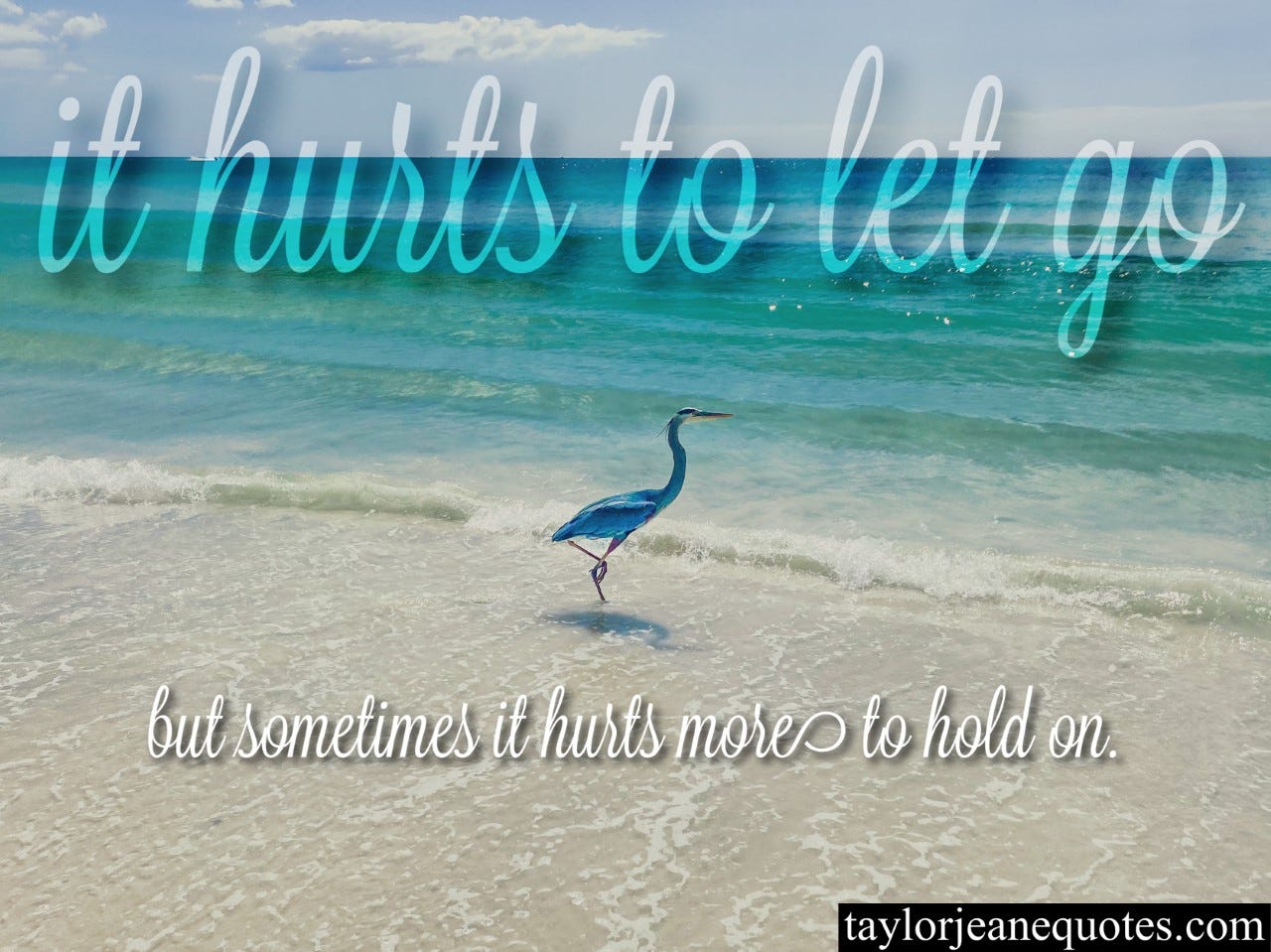 taylor jeane quotes, taylor jeane, taylor wilson, taylor wilson quotes, let go quotes, letting go quotes, sad quotes, anna maria island, beach, herron, herron on beach, sad quotes, sentimental quotes, memory quotes, hold on quotes, holding on quotes, life quotes, love quotes, breakup quotes, change quotes, moving on quotes, move on quotes, chapter quotes, ending quotes, daily quotes