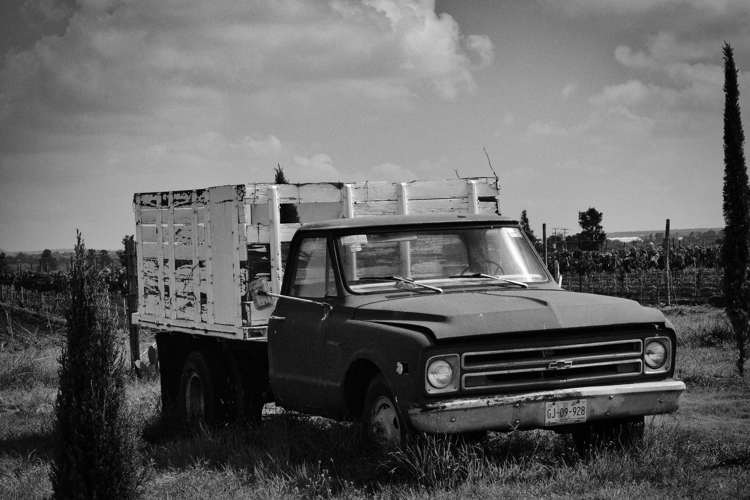 a black and white photo of an old farm truck with wooden sides and parked in a vineyard with rows of grapes behind it