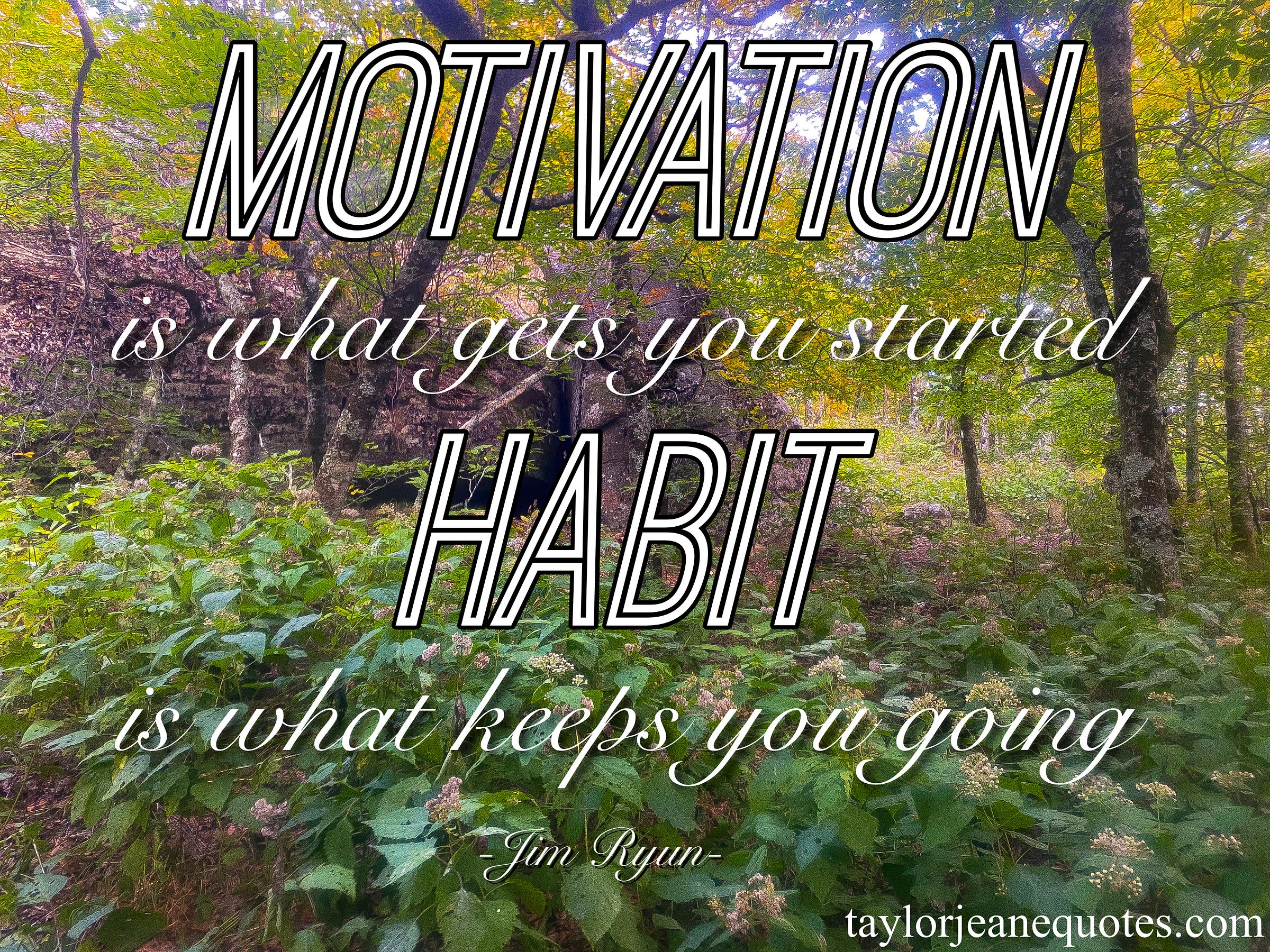 taylor jeane quotes, taylor jeane, taylor wilson, inspirational quotes, motivational quotes, habit quotes, jim ryun, jim ryun quotes, habits,  how to create habits, how to stick to habits, goal quotes, goal achievement quotes, north carolina, mountains, trees, free quote of the day subscription