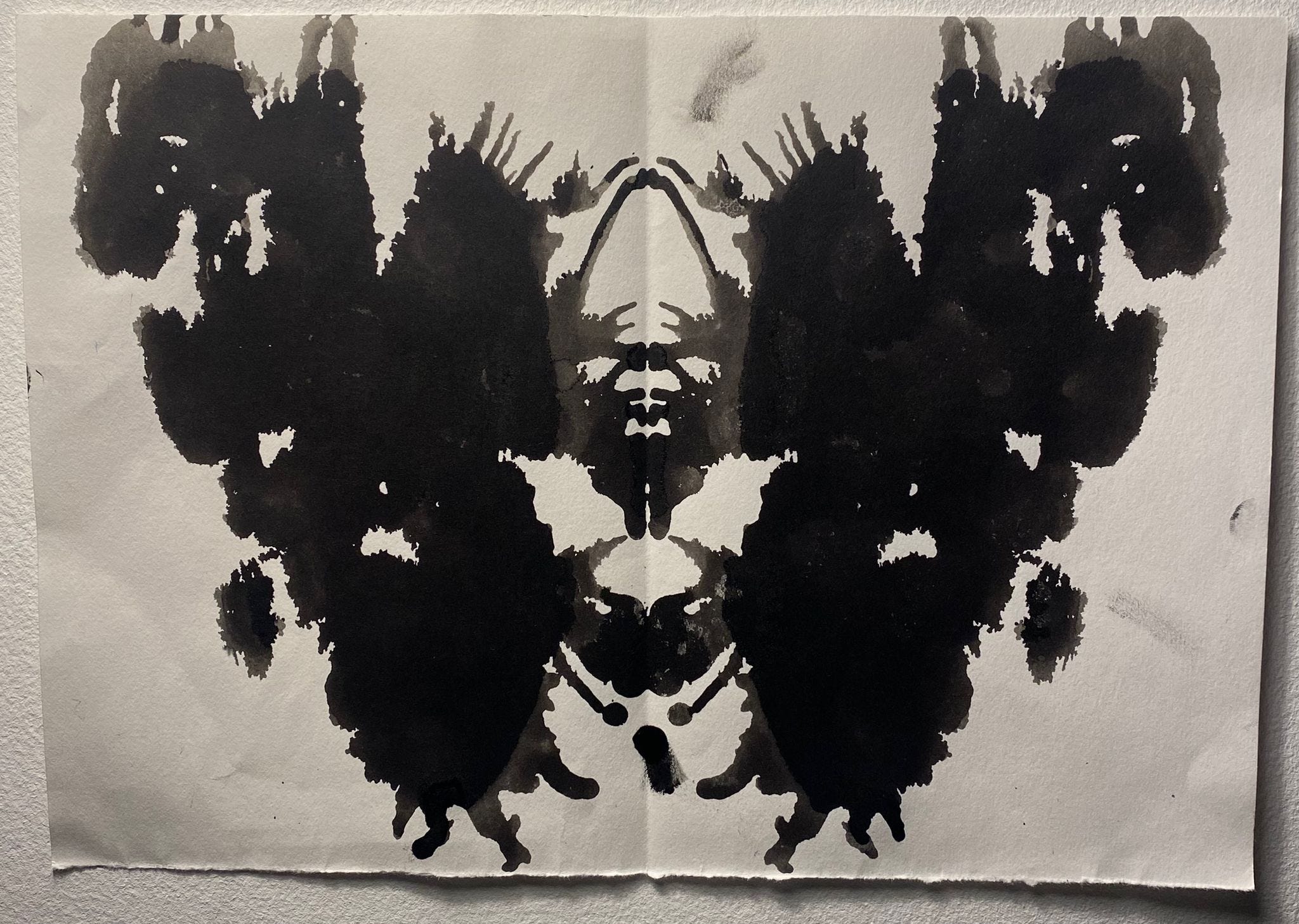 A piece of paper showing a Rorschach style ink blot, printed in black. The print brings together the bear and the pelvis of the previous images. The bear’s face in the centre, and the hip bones splaying out from it.