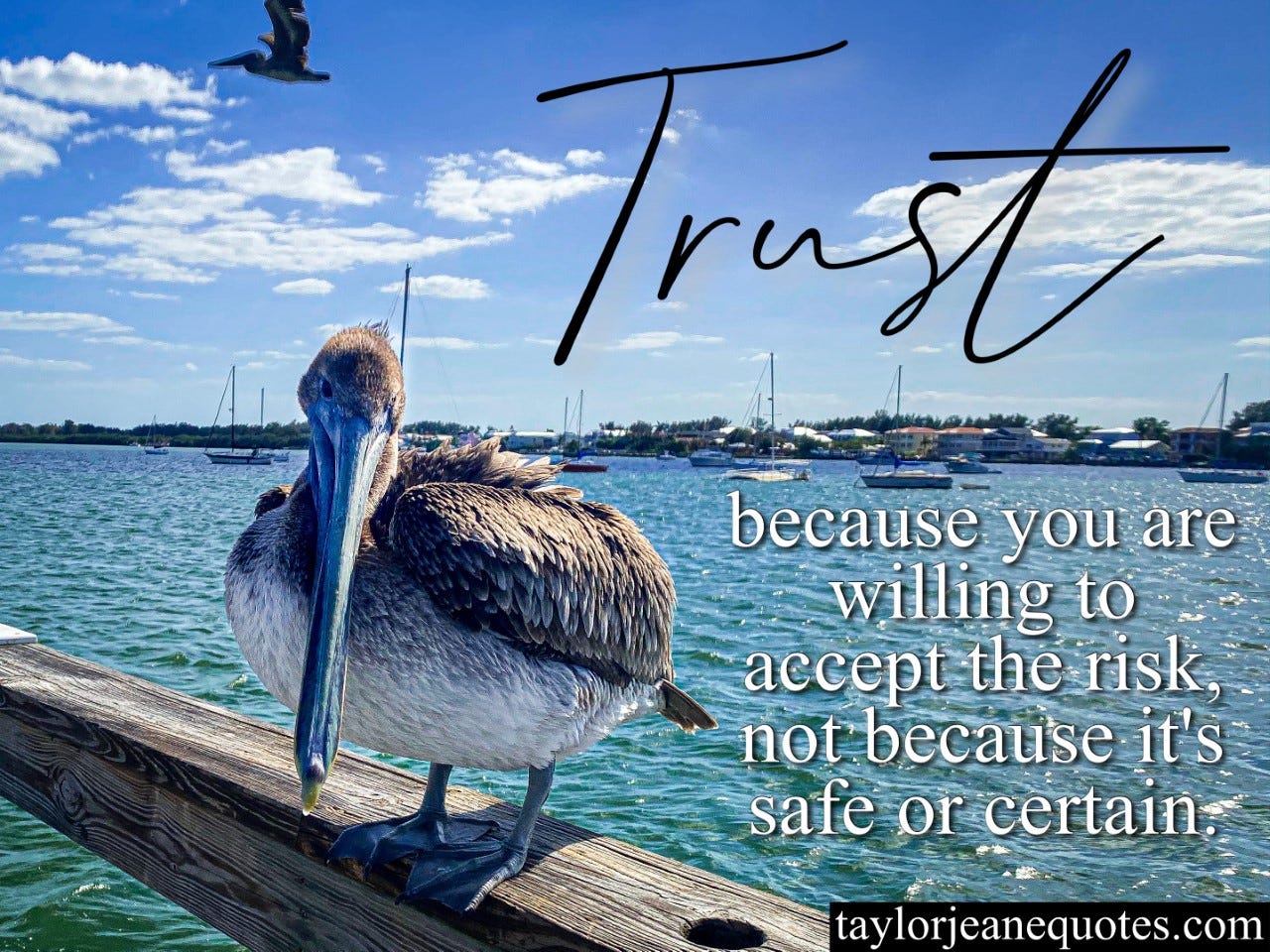 taylor jeane quotes, taylor wilson, taylor jeane, free quote of the day email subscription, daily quote emails free, inspirational quotes, motivational quotes, trust quotes, risk taking quotes, life quotes, intuition quotes, mindset quotes, confidence quotes, challenge yourself quotes, anna maria island, florida, beach, pelican
