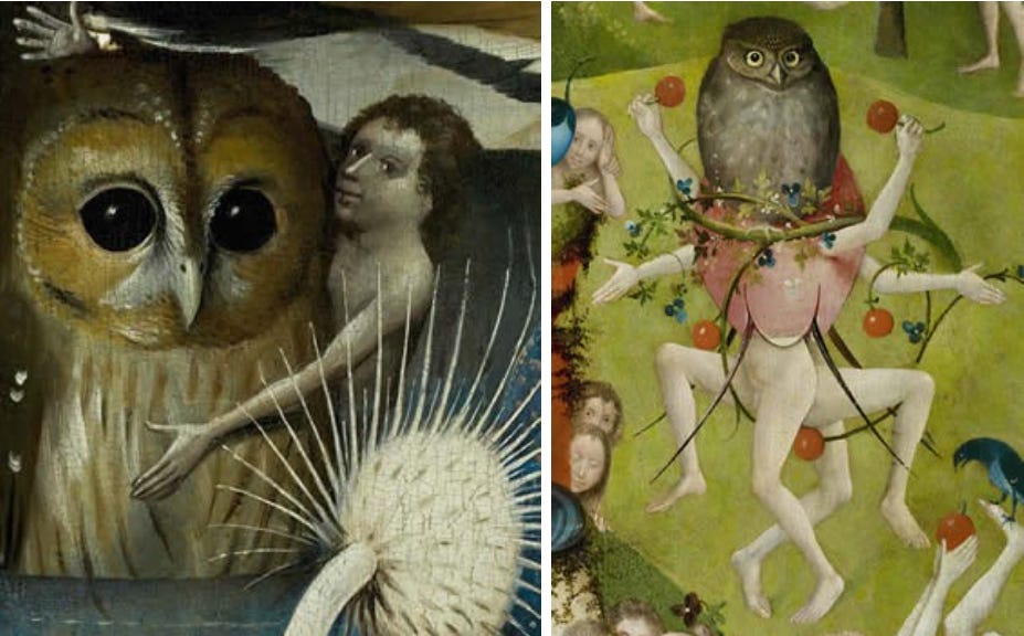 The oversized owls in the center panel of The Garden of Earthly Delights