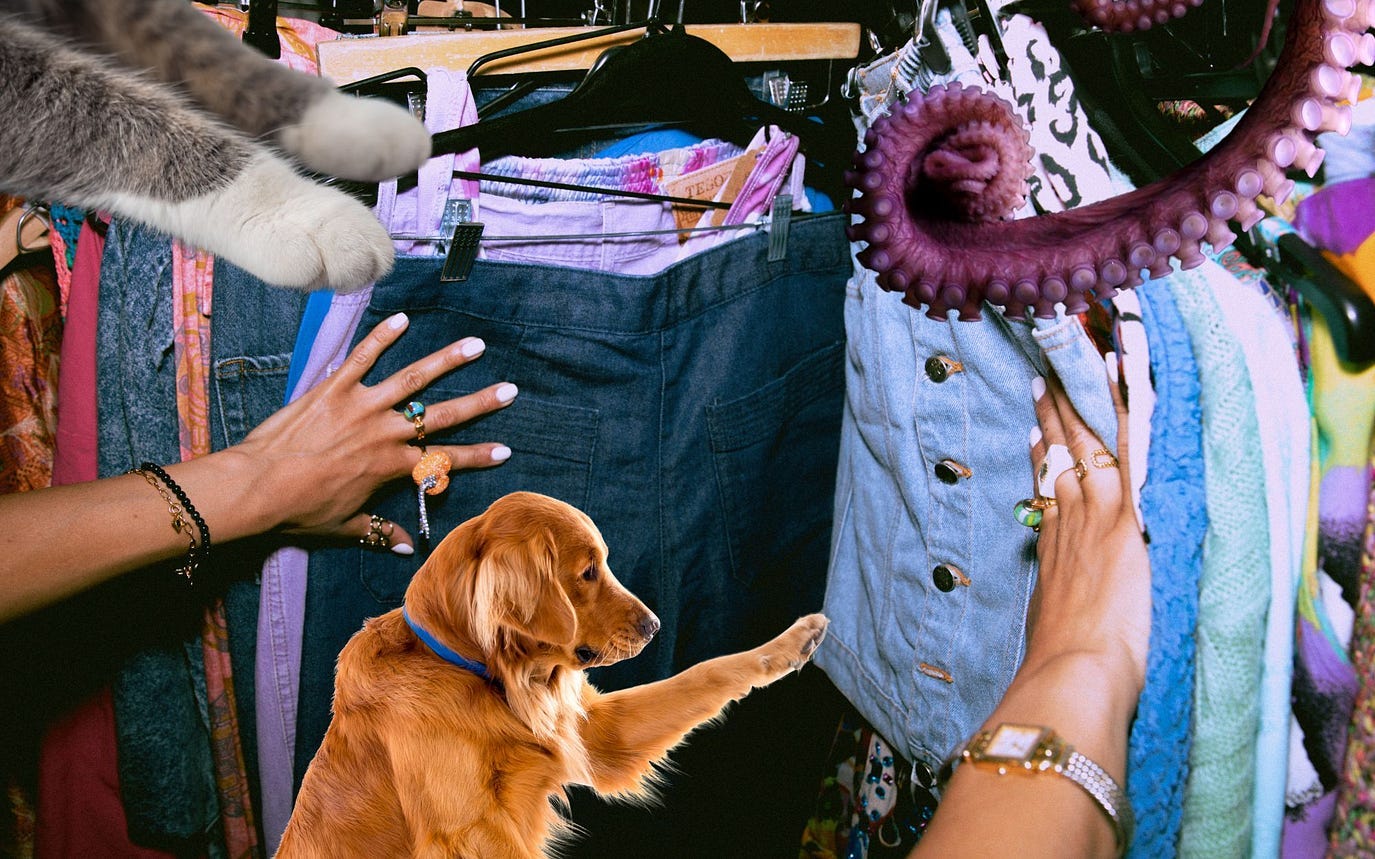 Two human hands, two cat paws, one dog paw and one cotupus tentacle rumange thorugh a thrift store clothing rack.