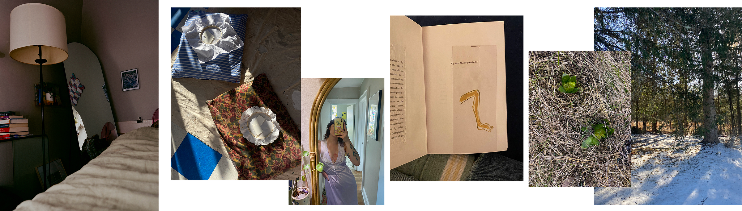 6 photographs in a line. from the left, the first one shows a full length mirror in the center with the foot of a bed peaking into frame. It is dark and a small part of the sunny window is showing in the mirror. The next photograph is an overhead at holding space with two embroidery hoops on top of pillows. 3rd is a selfie in the mirror wearing a lilac nightie. 4th is an overhead photo of a book open to a page that reads "why do we blush at dead" with a drawing of a leg. 5th and 6th photographs are from a cemetery, the first one an overhead shot of new green growth popping up amidst dead grass.