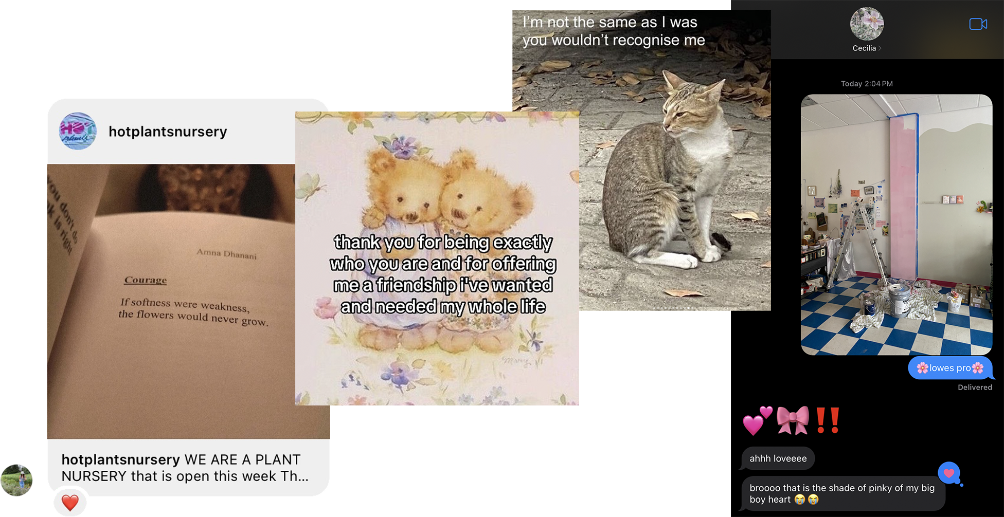 a collage of images, from left to right: 1) a screenshot of an instagram post that amanda shared with me that shows a photograph of a book that reads "courage, “if softness were weakness, the flowers would never grow.” 2) an illustration of two old timey looking bears hugging each other with text that says “thank you for being exactly who you are and for offering me a friendship i’ve wanted and needed my whole life.” 3) a photograph of a striped tabby street cat with text on top saying “I’m not the same as I was / you wouldn’t recognise me” 4) a screenshot of a conversation with cecilia that shows me sending a photo of holding space with a pink with the text 🌸 lowe’s pro 🌸 to which they respond “bro that is the shade of pinky of my big boy heart"