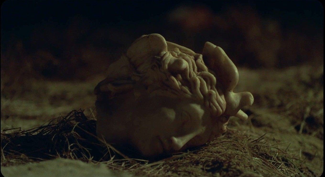 La Chimera film review — Cate Crafter