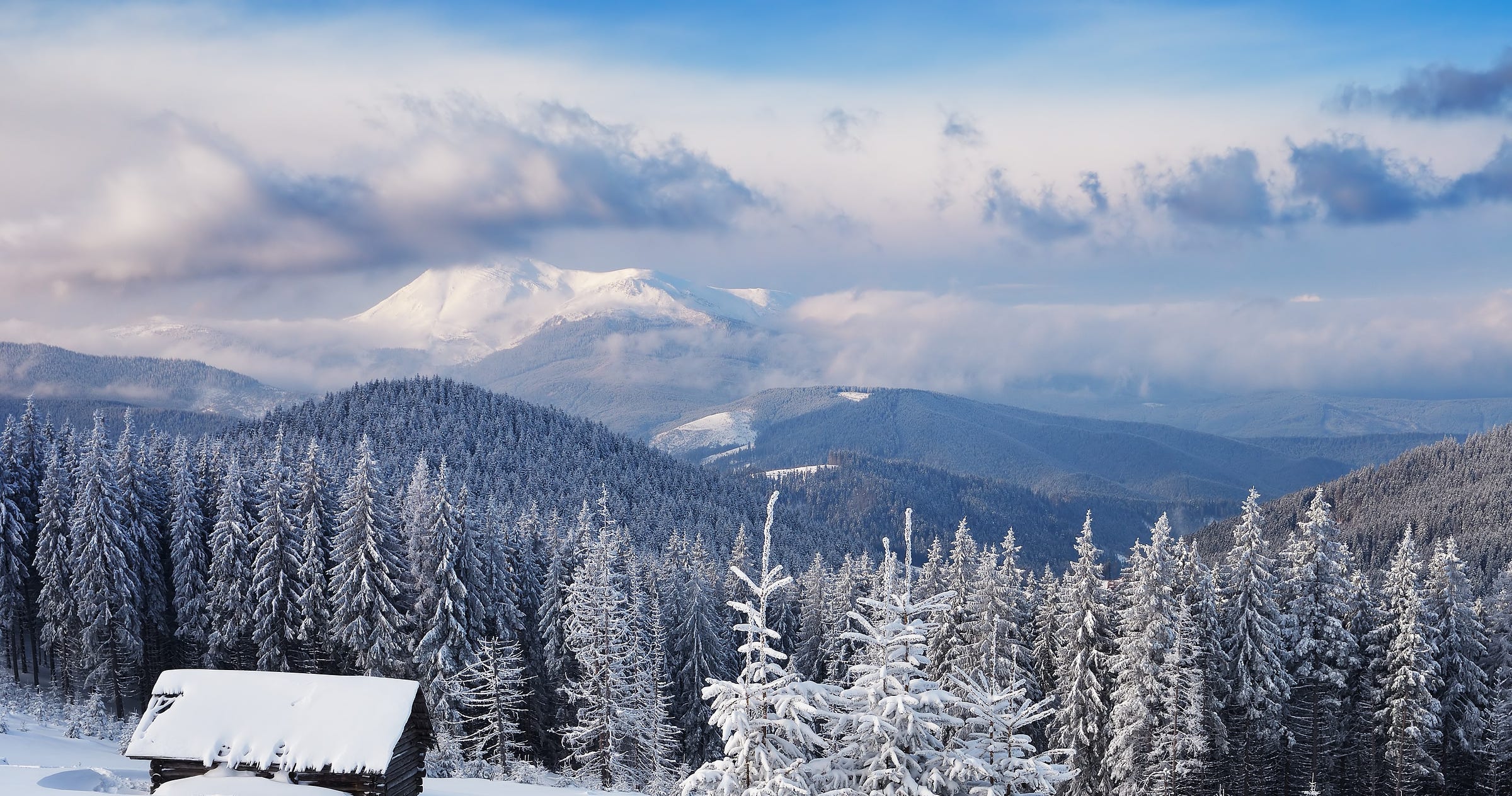 Winter view of forest and mountains. From the story "Let Yourself Die" by Ray Catania Author