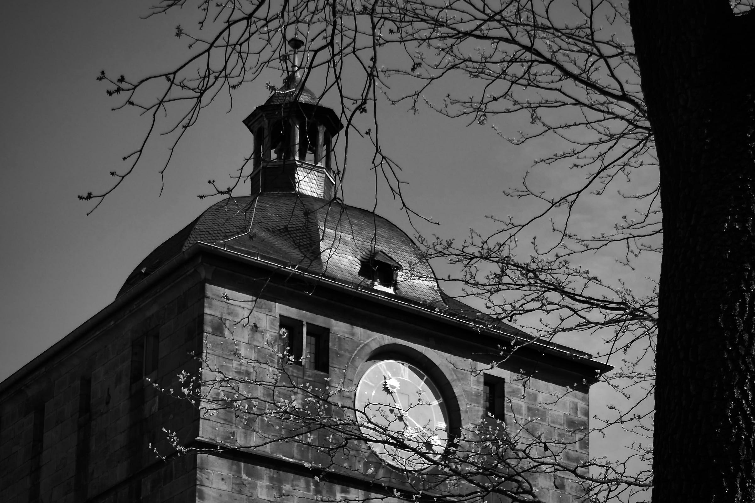 Black and white photo of the top of a clock tower with time frozen at 11:20 am; a bare tree stands on the right with branches reaching across the scene