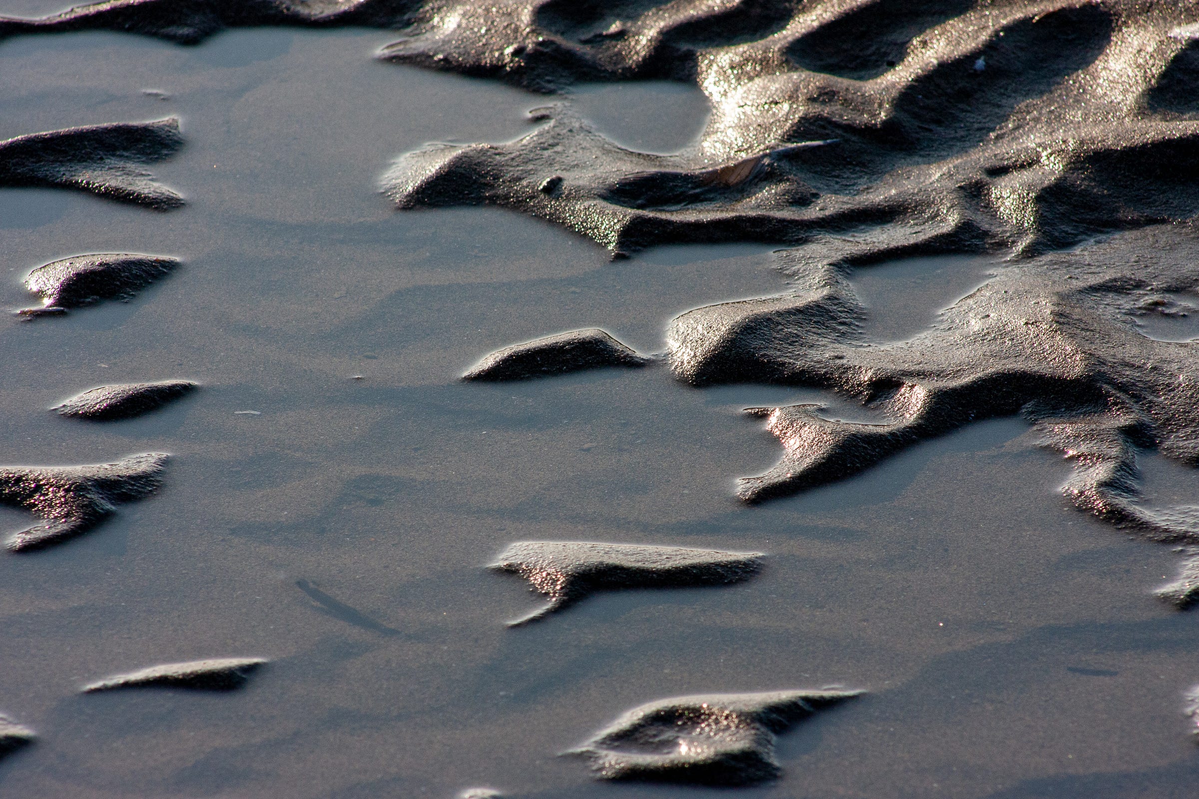 Wet sand and water at Long Point Provincial Park