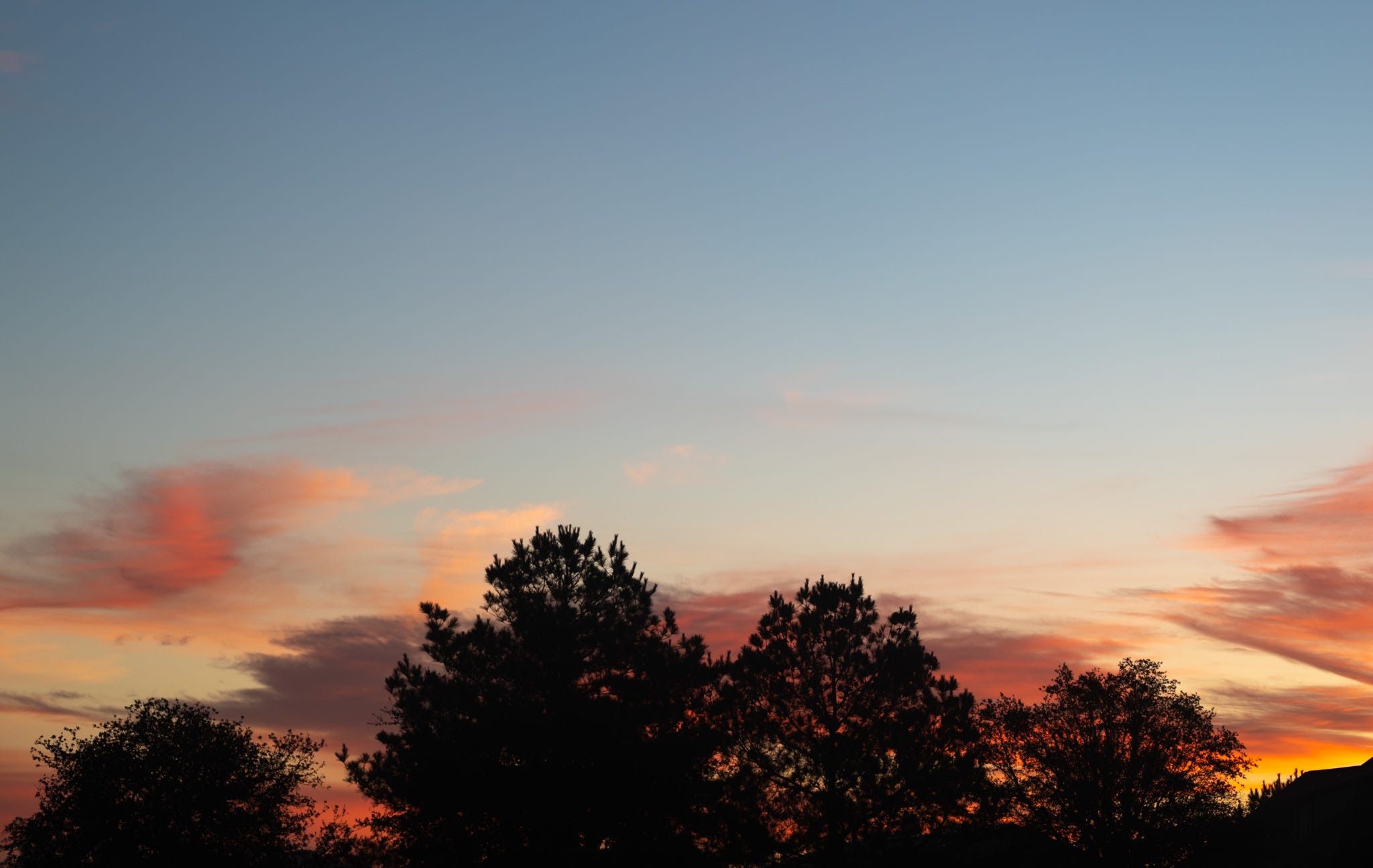 Sunrise with a blue sky, clouds hovering above the horizon of trees , the suns light casting shades of orange, pink, and grey across the clouds