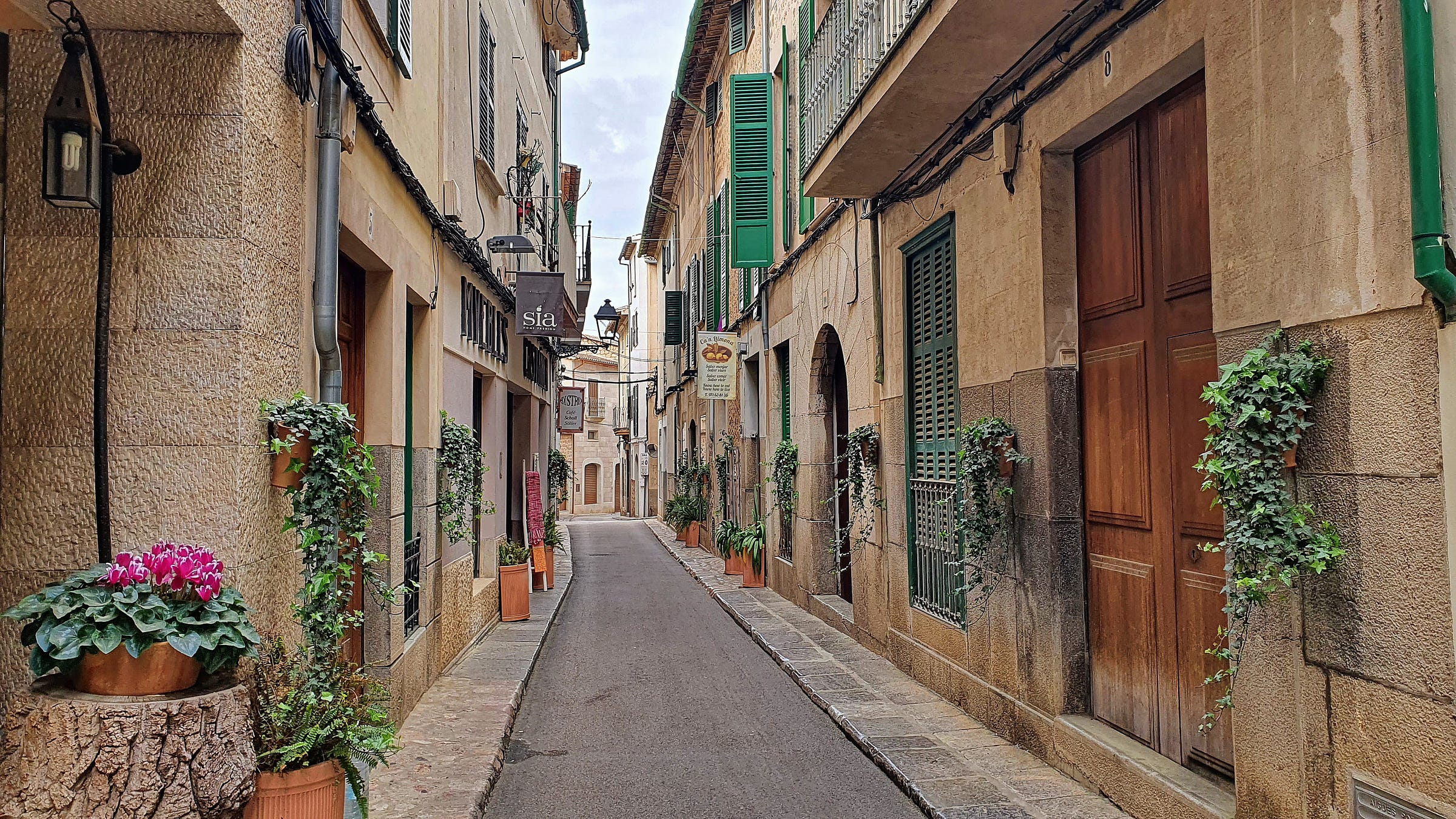 View of a typical street in Soller