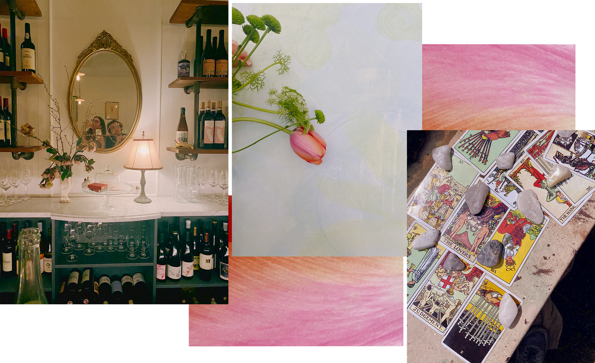 a collage of images from 2024. on the left, a self portrait of bridget & tommy in the mirror behind the bar at brunette. to the right, a pink tulip against a light green and blue wall. Close ups of pink flowers are peeking from behind the front images. On the bottom right, an overhead view of a tarot pull showing the lovers, judgment, etc.