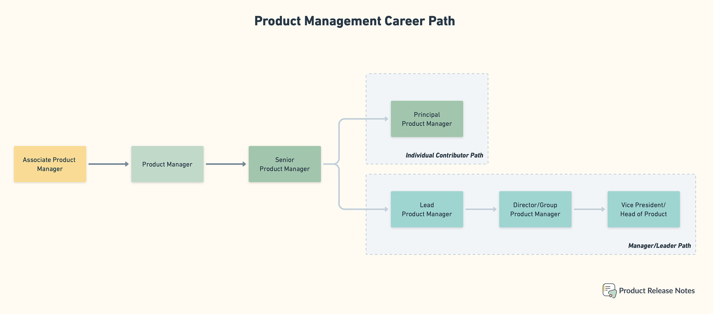 Graph with the most common Product Management positions by Product Release Notes