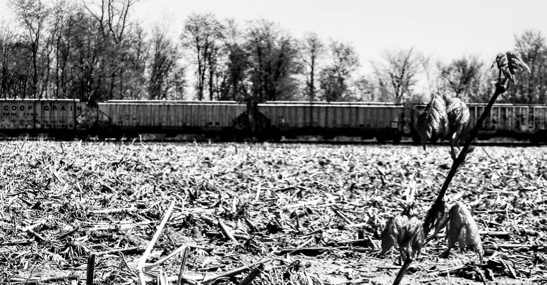 Railroad Cars Across the Midwest- Image by Shawn R. Metivier, 2018