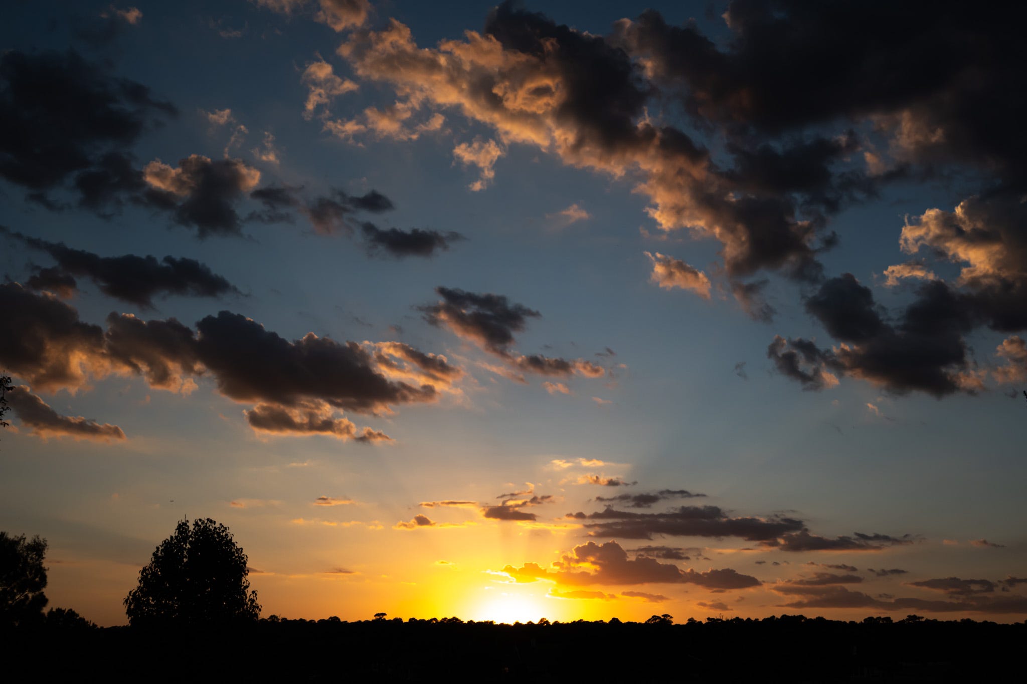 sunset with the rays of the sun backlighting the clouds above; the dark horizon broken by the silhouette of trees on the left