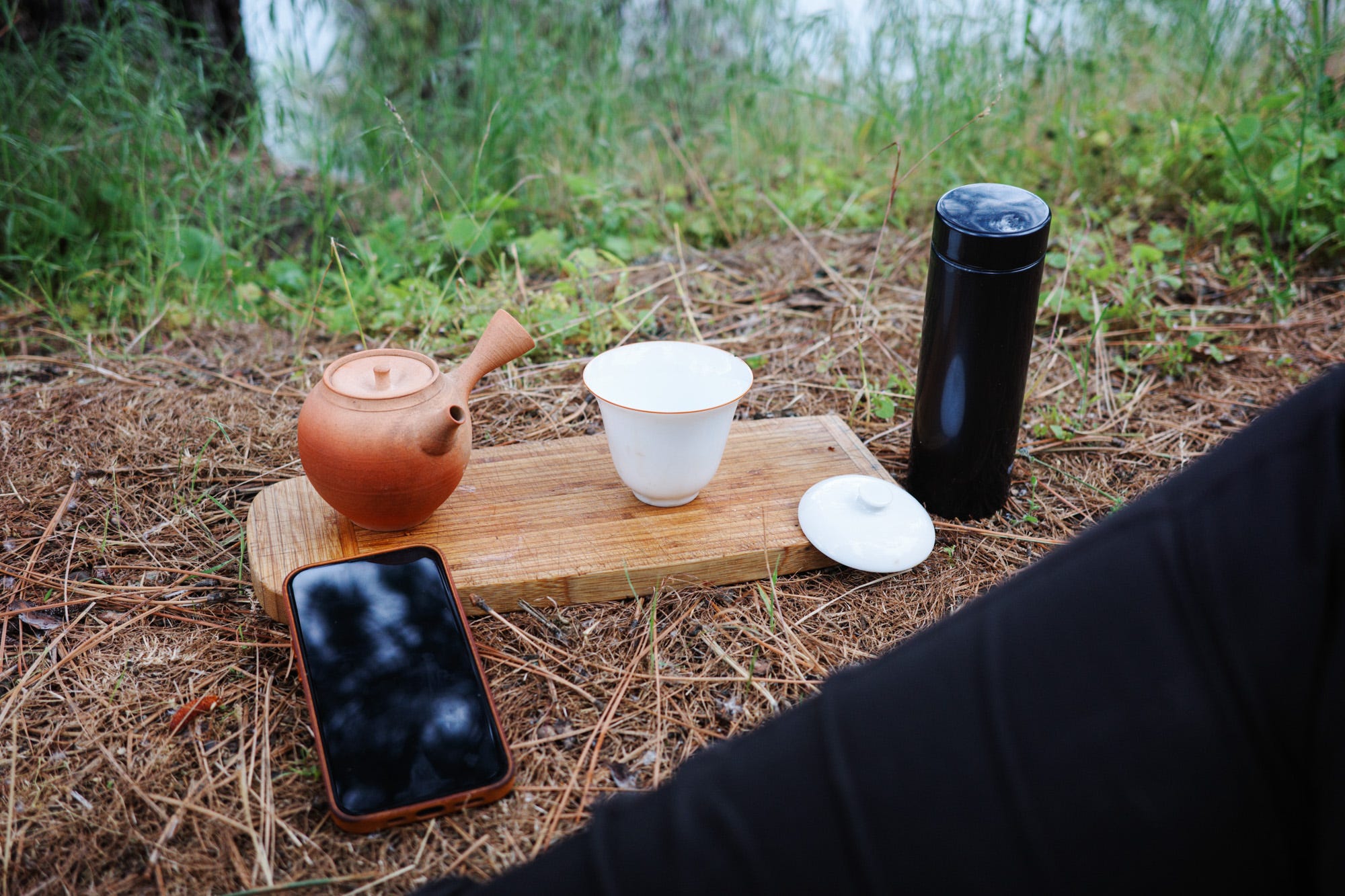 Japanese sencha in a forest