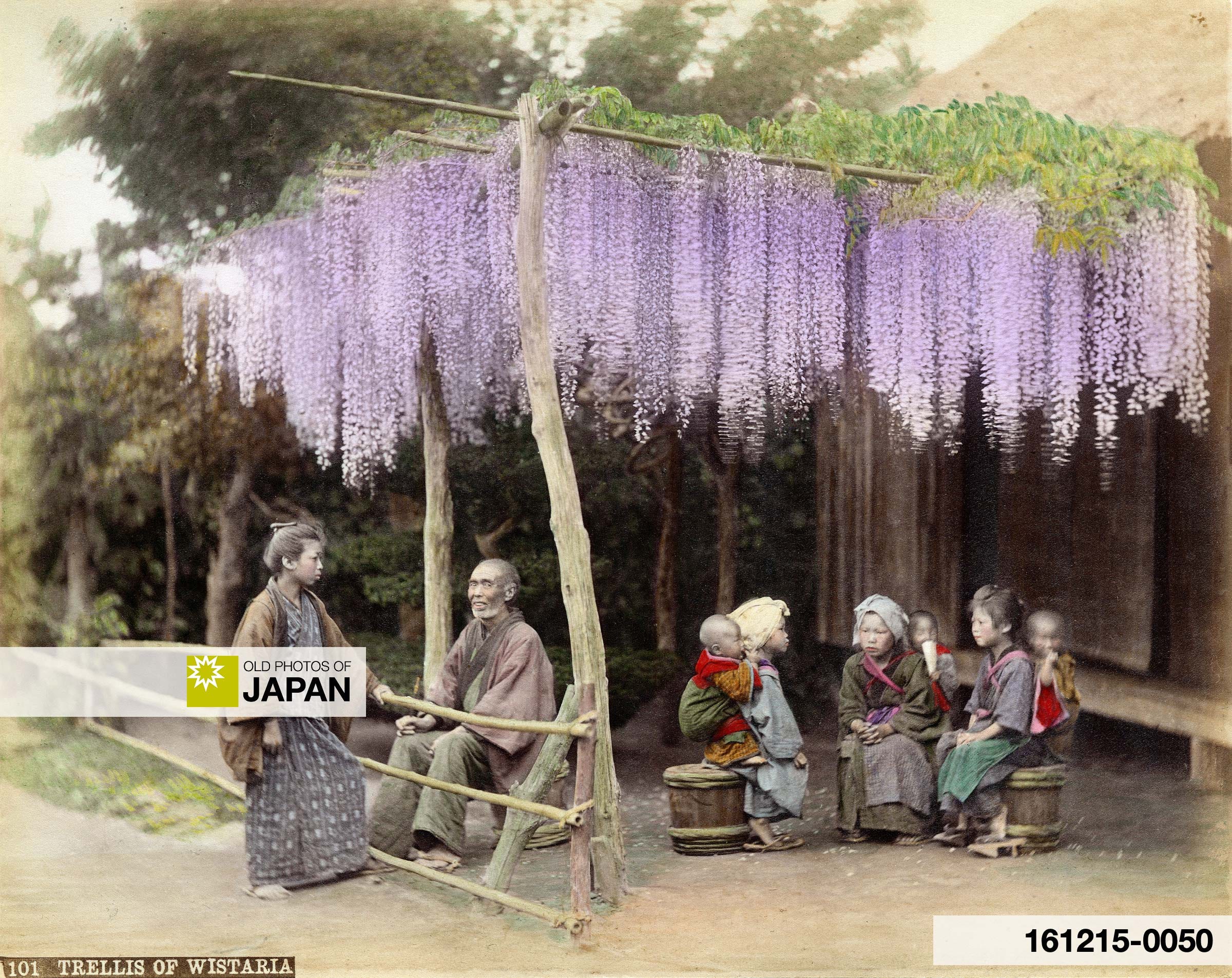 Children and an elderly man sitting under a trellis of wisteria, 1880s