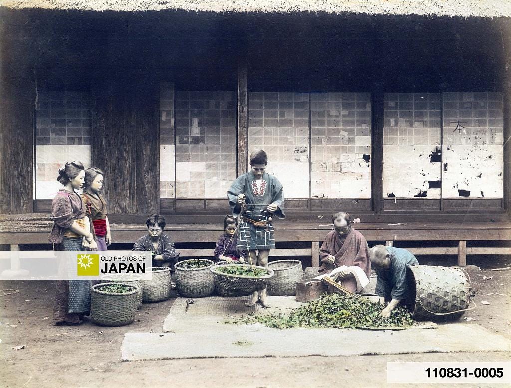 Punctured and torn shōji at a tea farm, 1890s