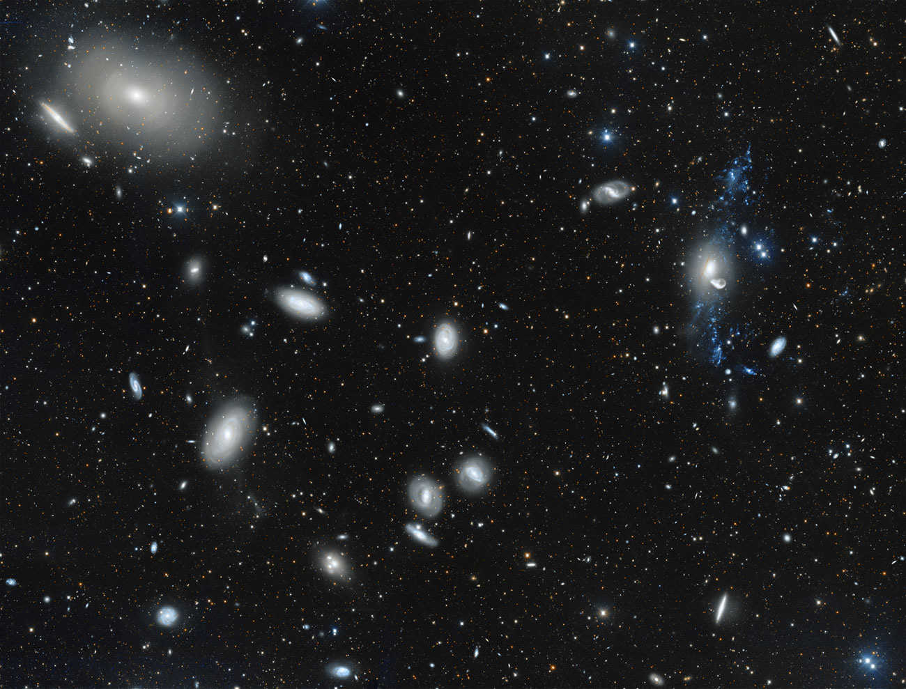 An image showing dozens of galaxies, mostly spirals and ellipticals, looking ghostly pale and white. Thousands of stars dot the photo as well.