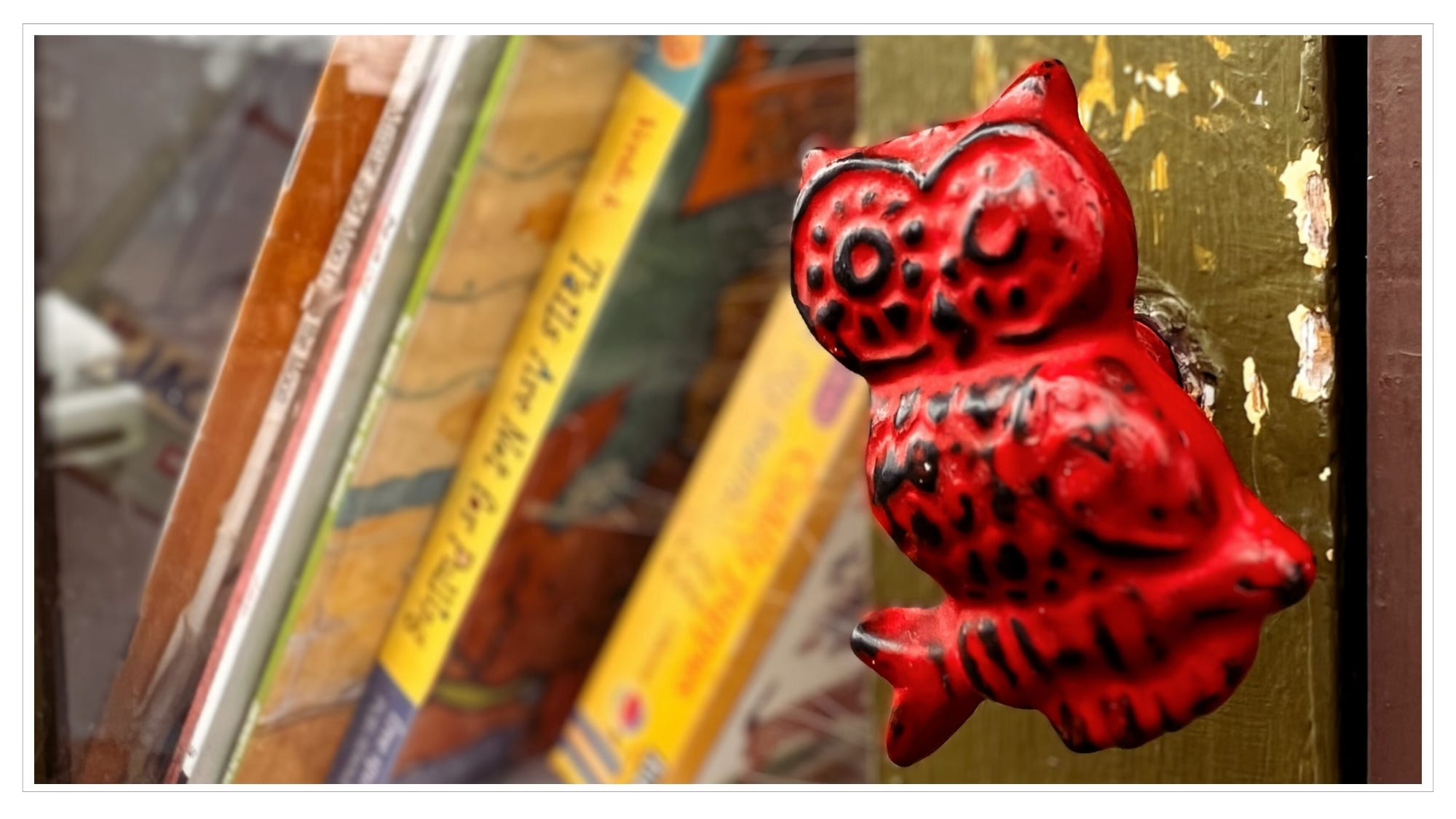 close-up of 'owl' pull handle and children's books
