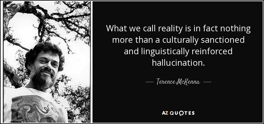 Terence McKenna quote: What we call reality is in fact nothing more than...