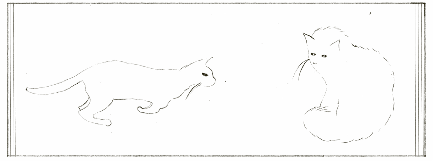 Minimalist line drawing of two cats within a rectangular frame—one slender and alert, approaching a fluffy, seated cat with a serene expression.