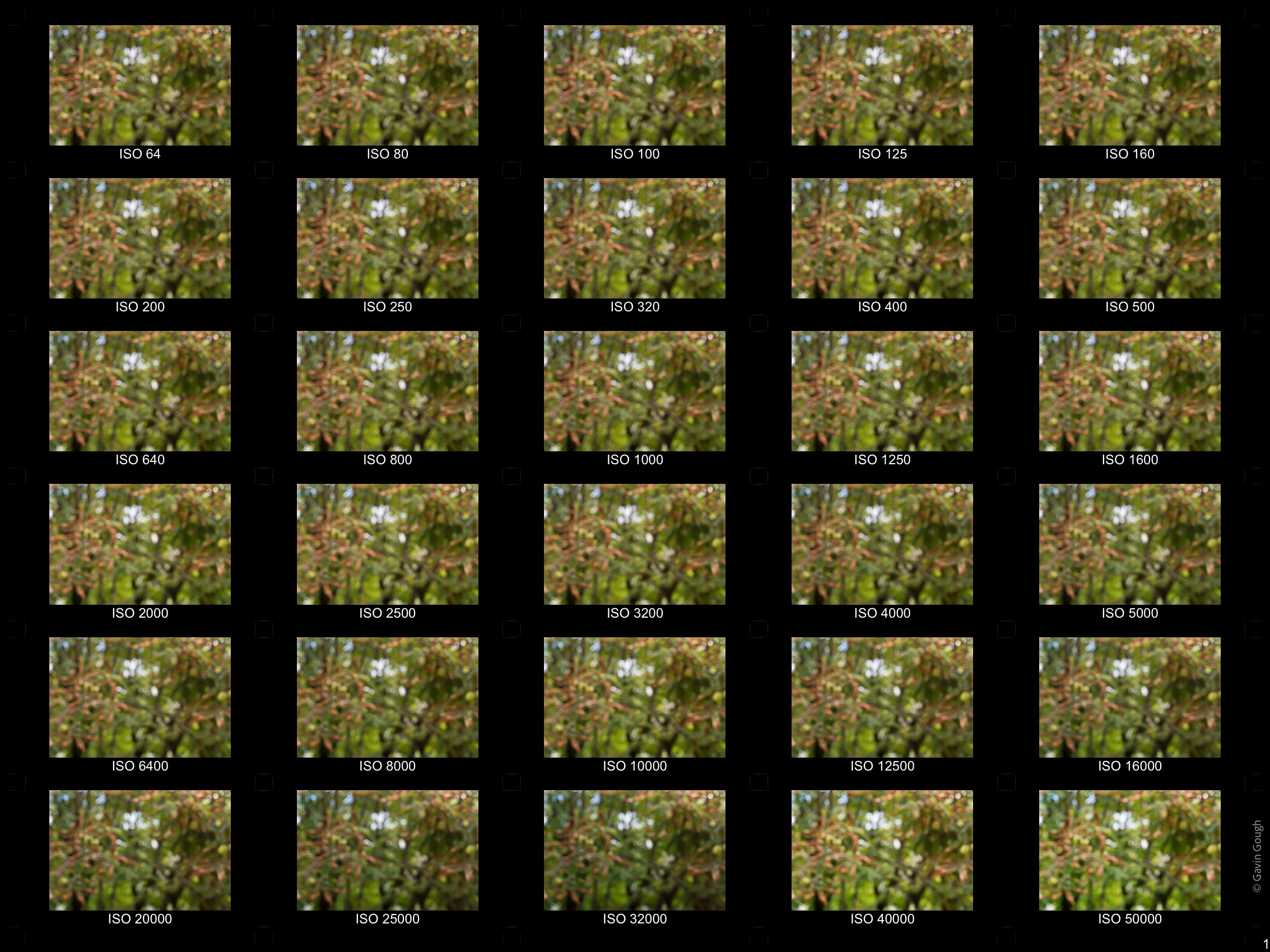 Sample Images from ISO 64 to ISO 50,000
